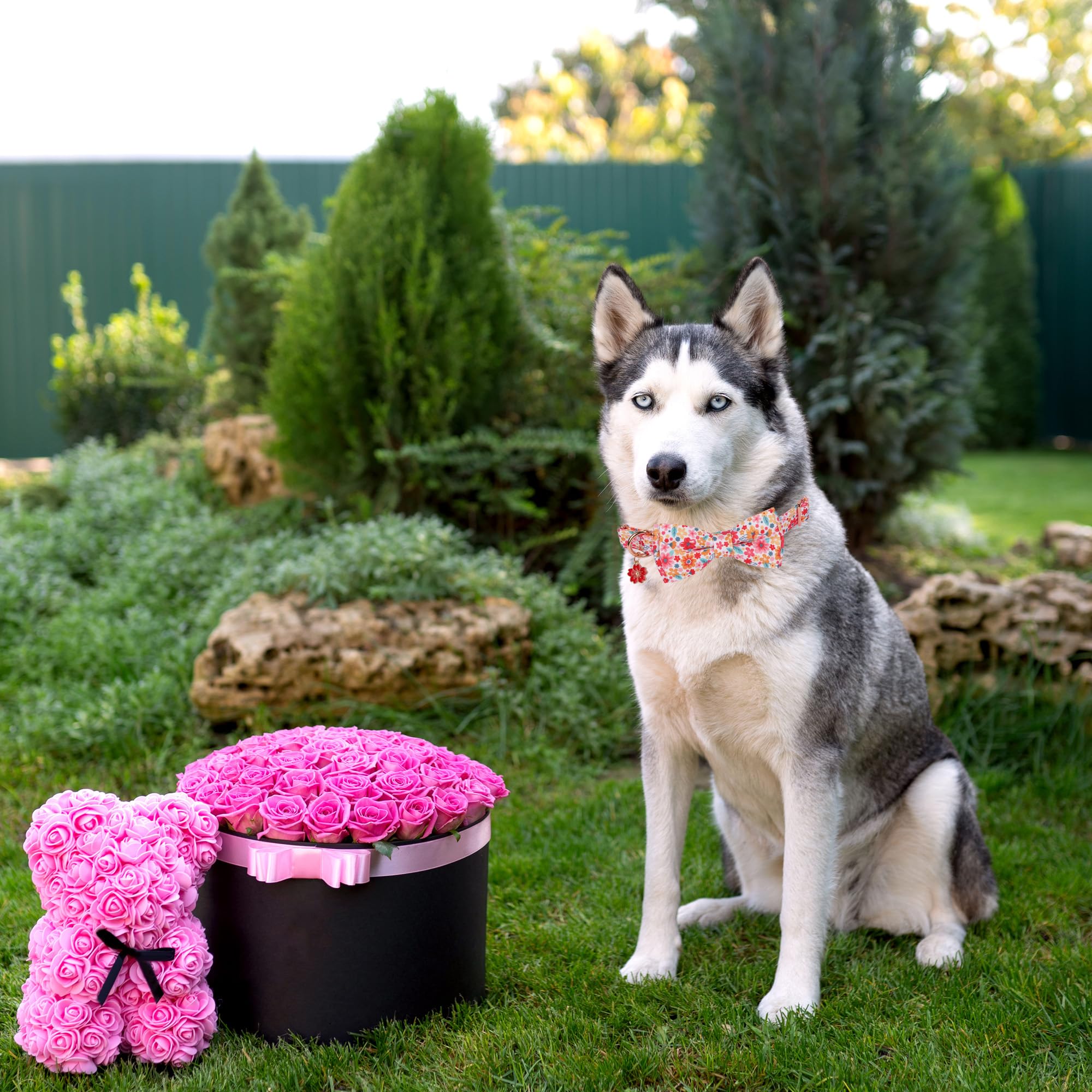 Adoggygo Floral Dog Collar With Bow, Metal Buckle, Adjustable Red Pink Pet Flower Collar For Medium Large Dogs (Large)