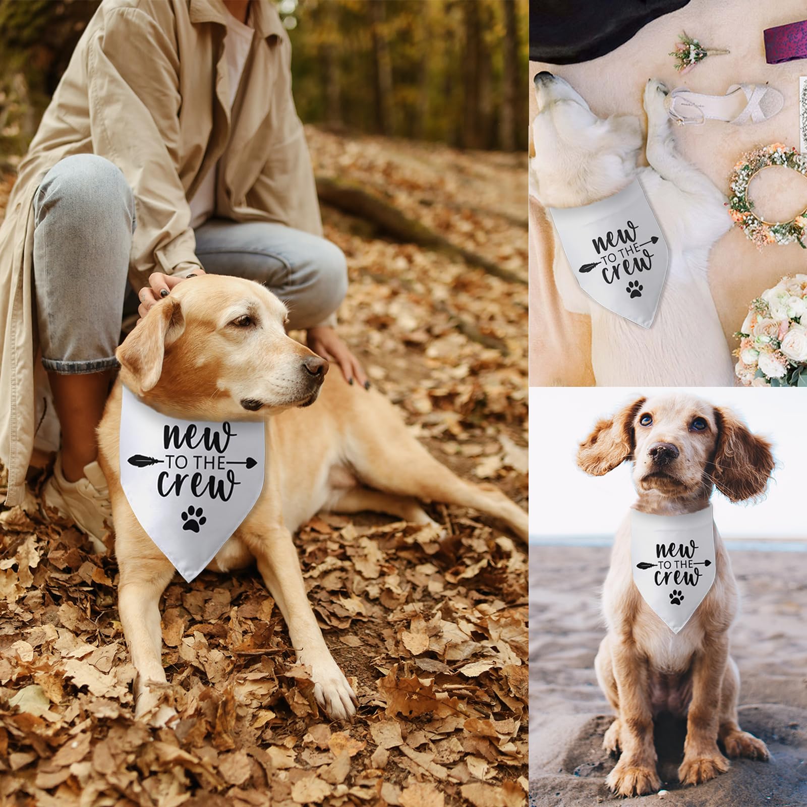 New to The Crew Dog Bandana New Puppy Announcement Gift for New Owners Puppy Bandana Dog Owner Gifts Triangle Bibs Scarf Accesso