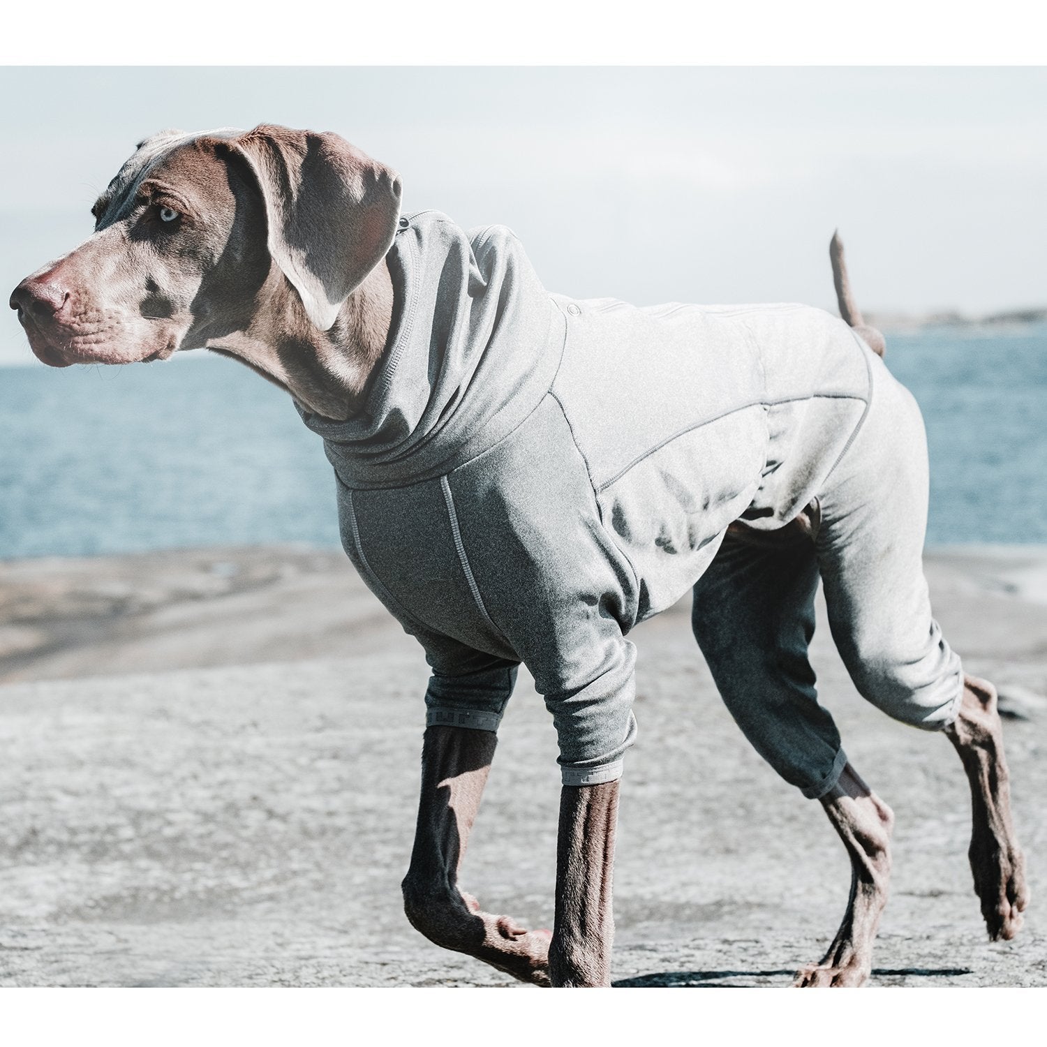 Hurtta Body Warmer Dog Body Suit, Recovery Suit, Carbon Grey, 10M