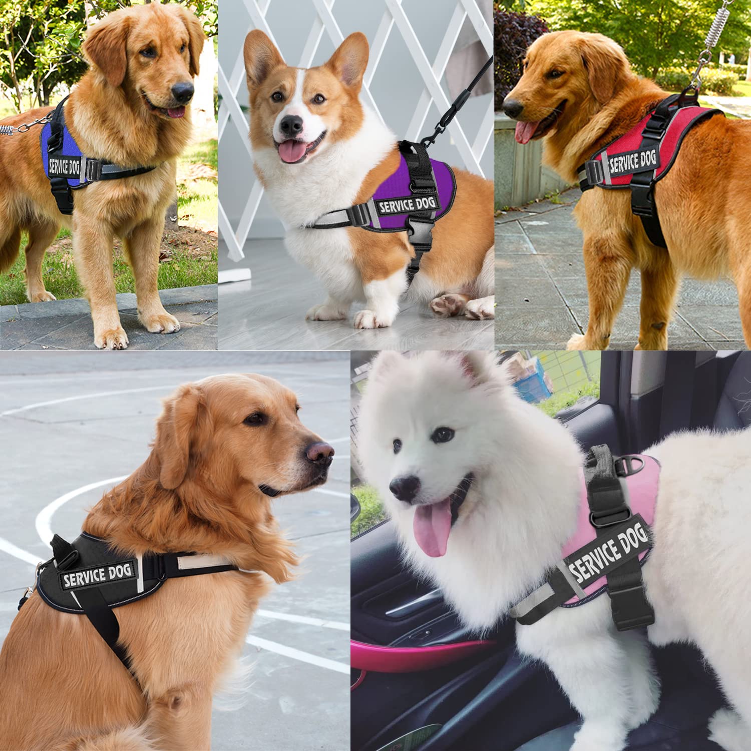 Jsxd Dog Harness,No-Pull Service Dog Harness With Handle Adjustable Outdoor Pet Dog Vest 6M Reflective Nylon Material Vest For Breeds,Easy Control For Small Medium Large Dogs