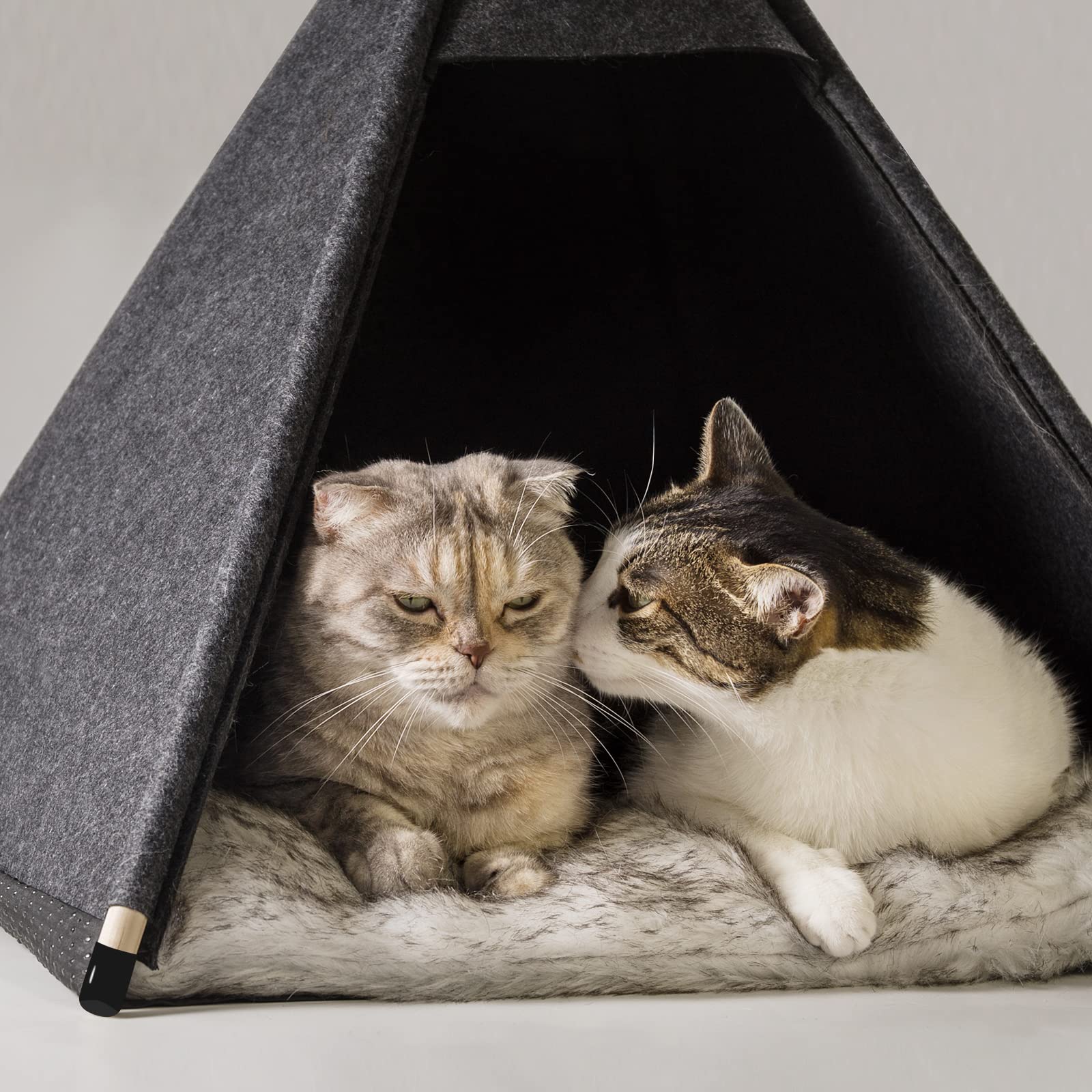 Qucey Pet Teepee Tent For Cats And Small Dogs - Cozy Portable Cat Dog House With Thick Cushion Washable For Indoor Outdoor Use