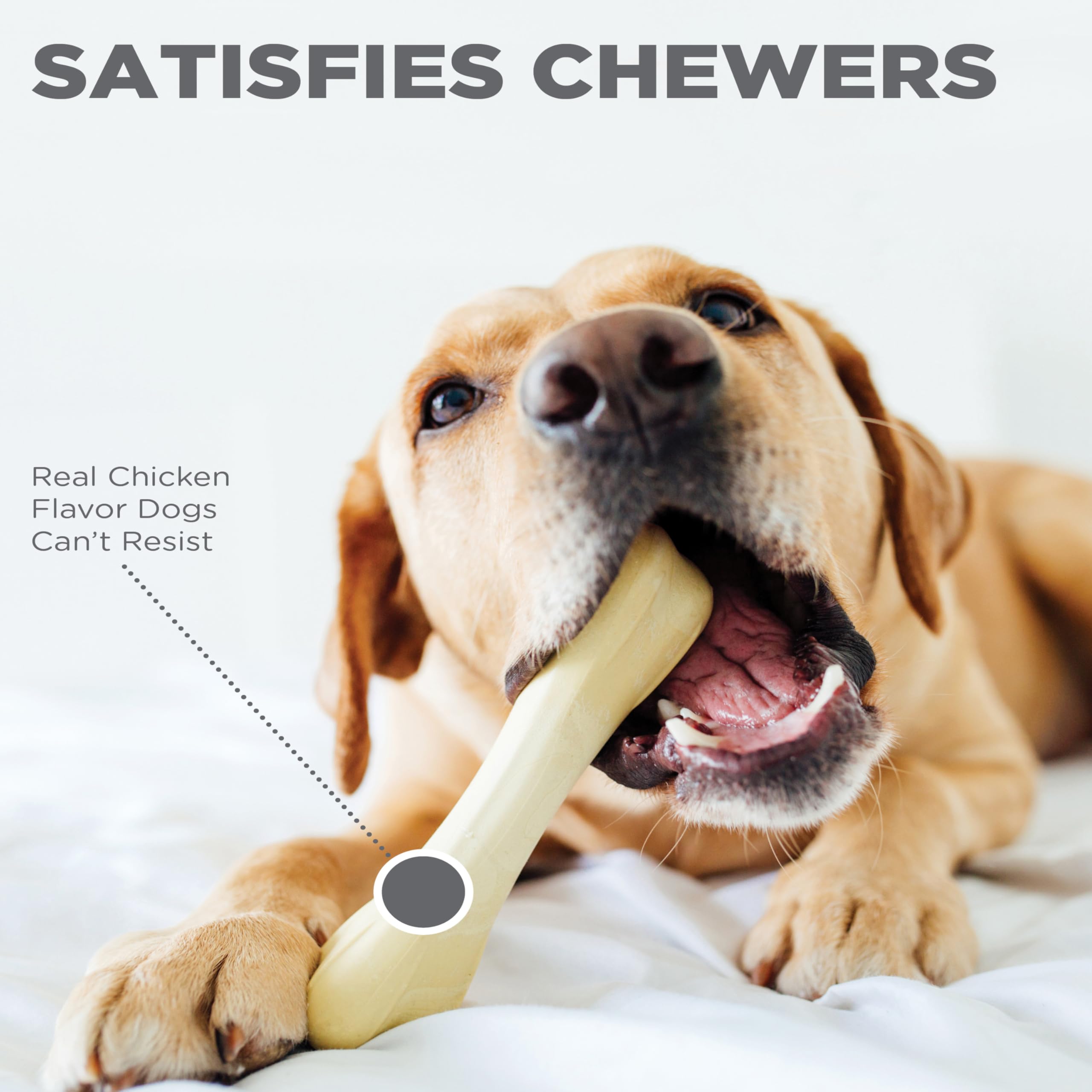 Petstages Chick-A-Bone Dog Chew Toy, Medium