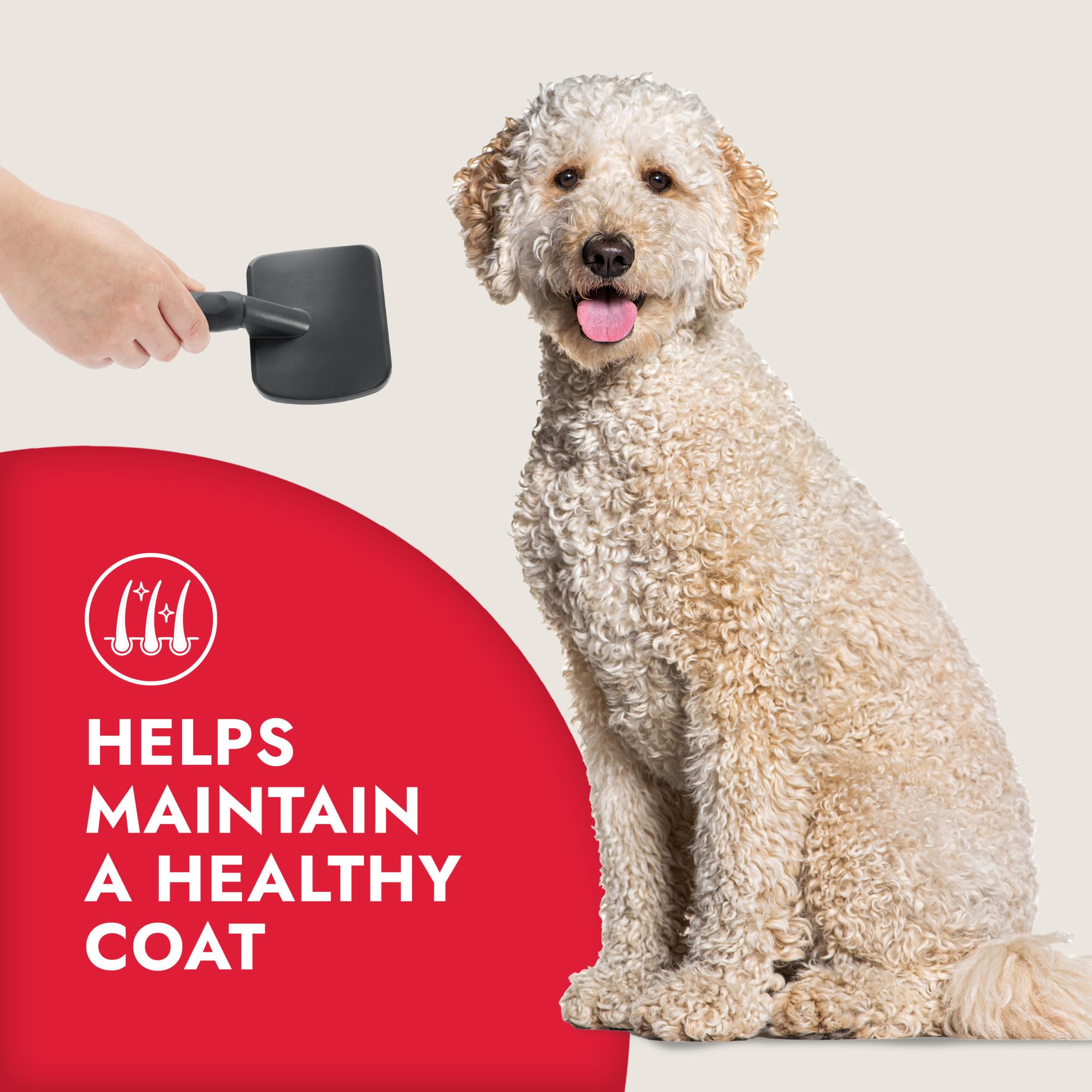KONG Large Slicker Brush - Removes Loose Hair, Reduces Shedding, Comfortable Non-Slip Grip, Long Metal Pins, for Medium to Large