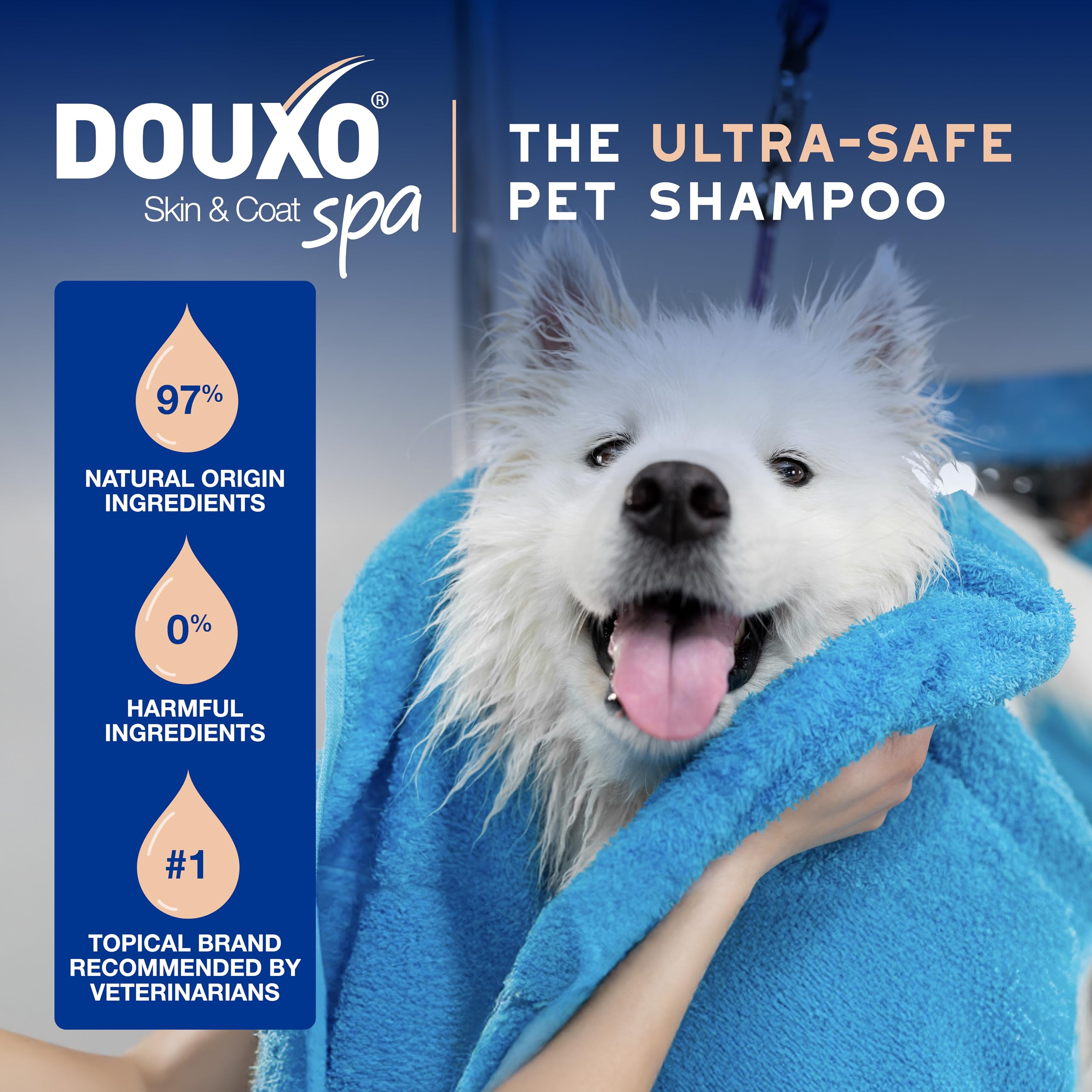 Douxo® Skin & Coat SPA Dog Shampoo, 16 fl oz - Reduces Shedding, Hydrates Skin, Softens Coat, Translucent, Model G90610B