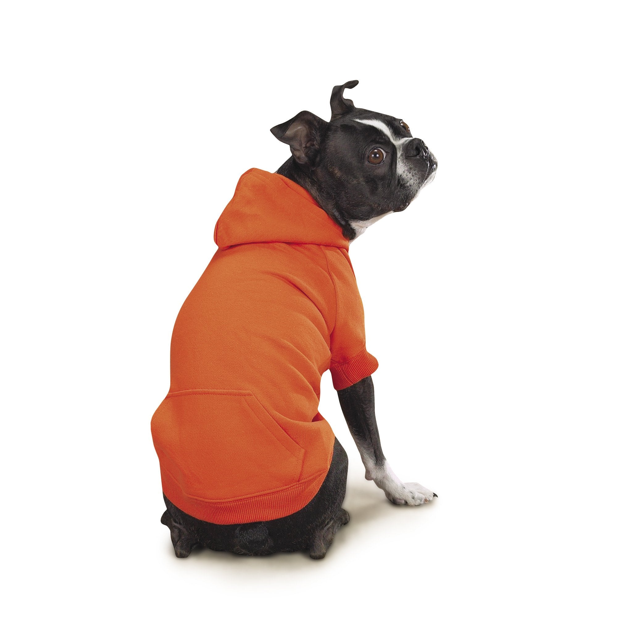 Zack & Zoey Basic Hoodie For Dogs, 20' Large, Vibrant Orange