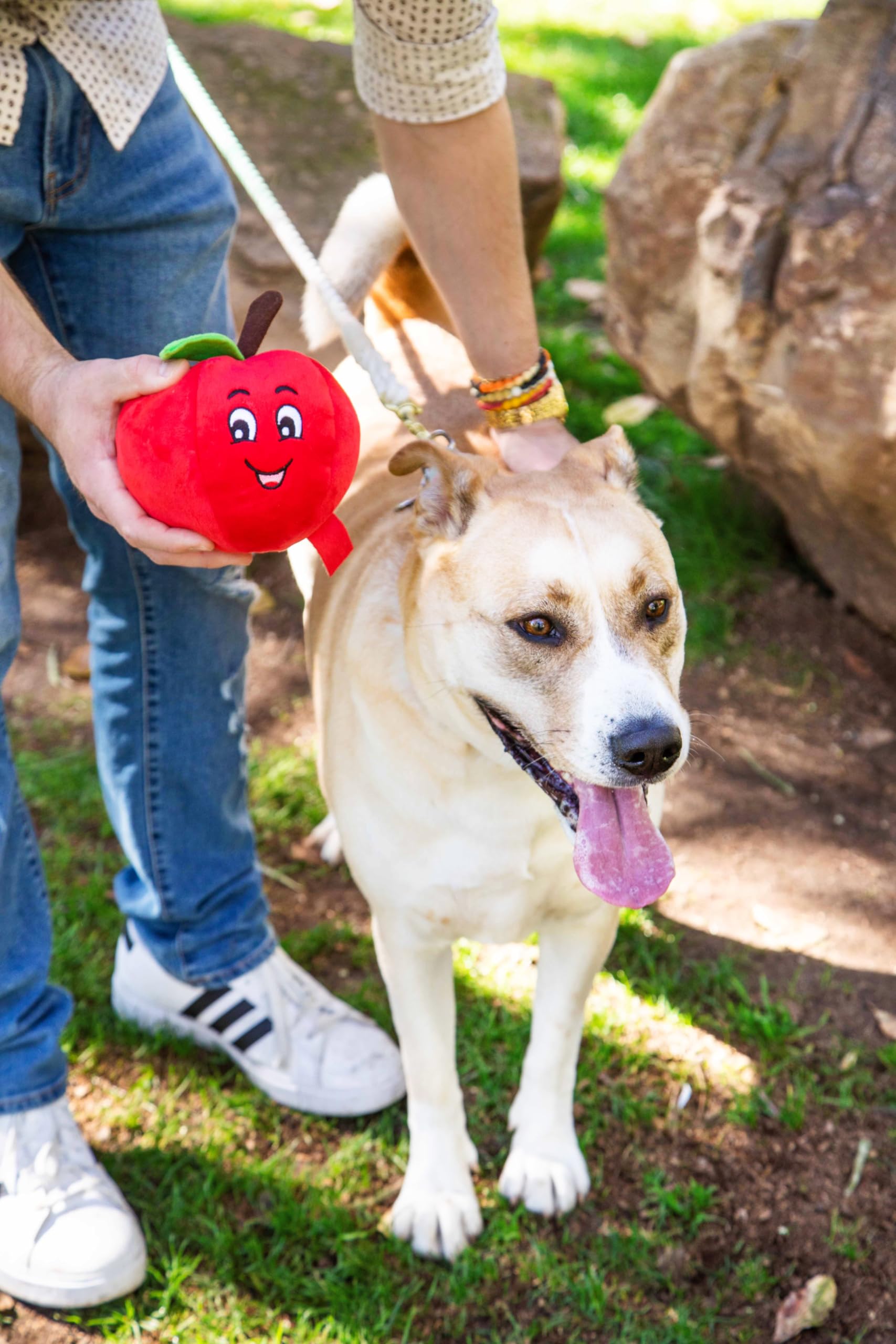Glow Pups Squeaky Tomato Dog Toy for Large Dogs, Plush, 5.75"x6", Red - Durable Chew Toy for Interactive Play and Stress Relief