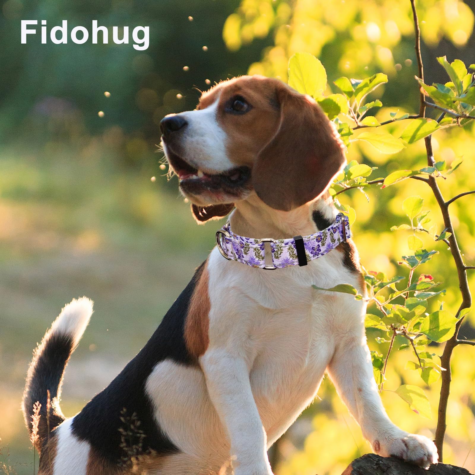 Fidohug Reflective Martingale Collar For Dogs With Quick Release Buckle Cute Girl Female Flower Dog Collars (Lavender Floral, La