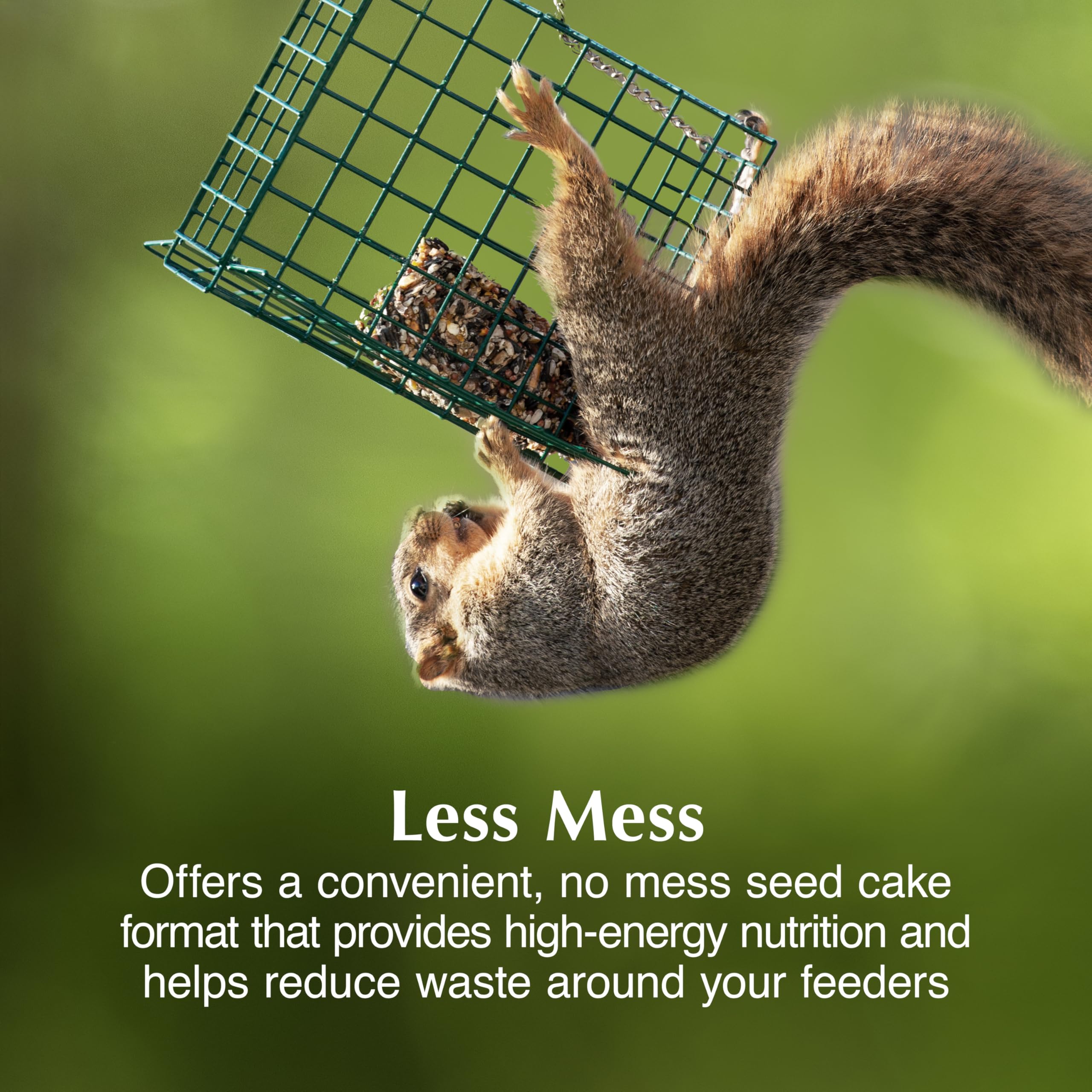 C&S Squirrel Snak, 6 Pack