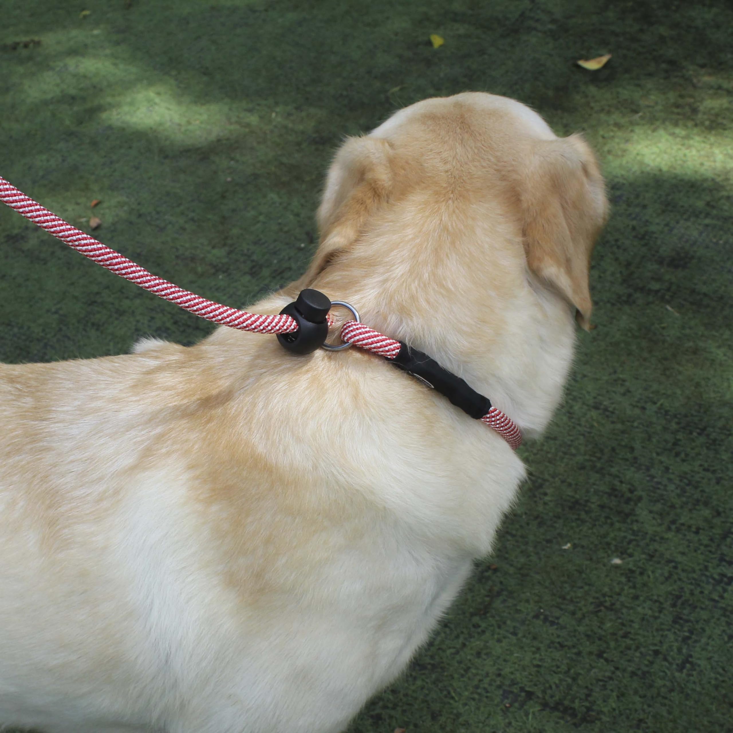 Hiado Slip Lead Dog Leash With Stopper Loop Rope Training No Pull For Small Medium Large Dogs 5Ft Red White