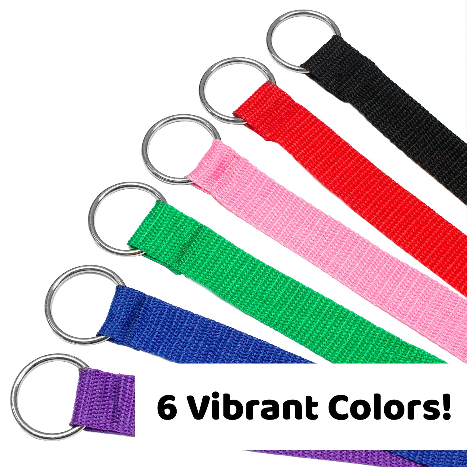 Downtown Pet Supply - 6Ft Dog Kennel Slip Lead Dog Leash - Veterinarian, Dog Grooming, Daycare & Animal Rescue Dog Supplies - One Size Leads For Dogs Bulk - 1' Thick - 12 Pack
