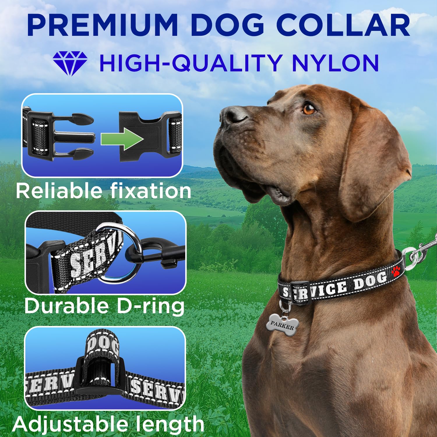 Teceum Reflective Pet Collar - Black - Service Dog - M - Basic Nylon Dog Collar - Quick Release Buckle - Fits Small, Medium And