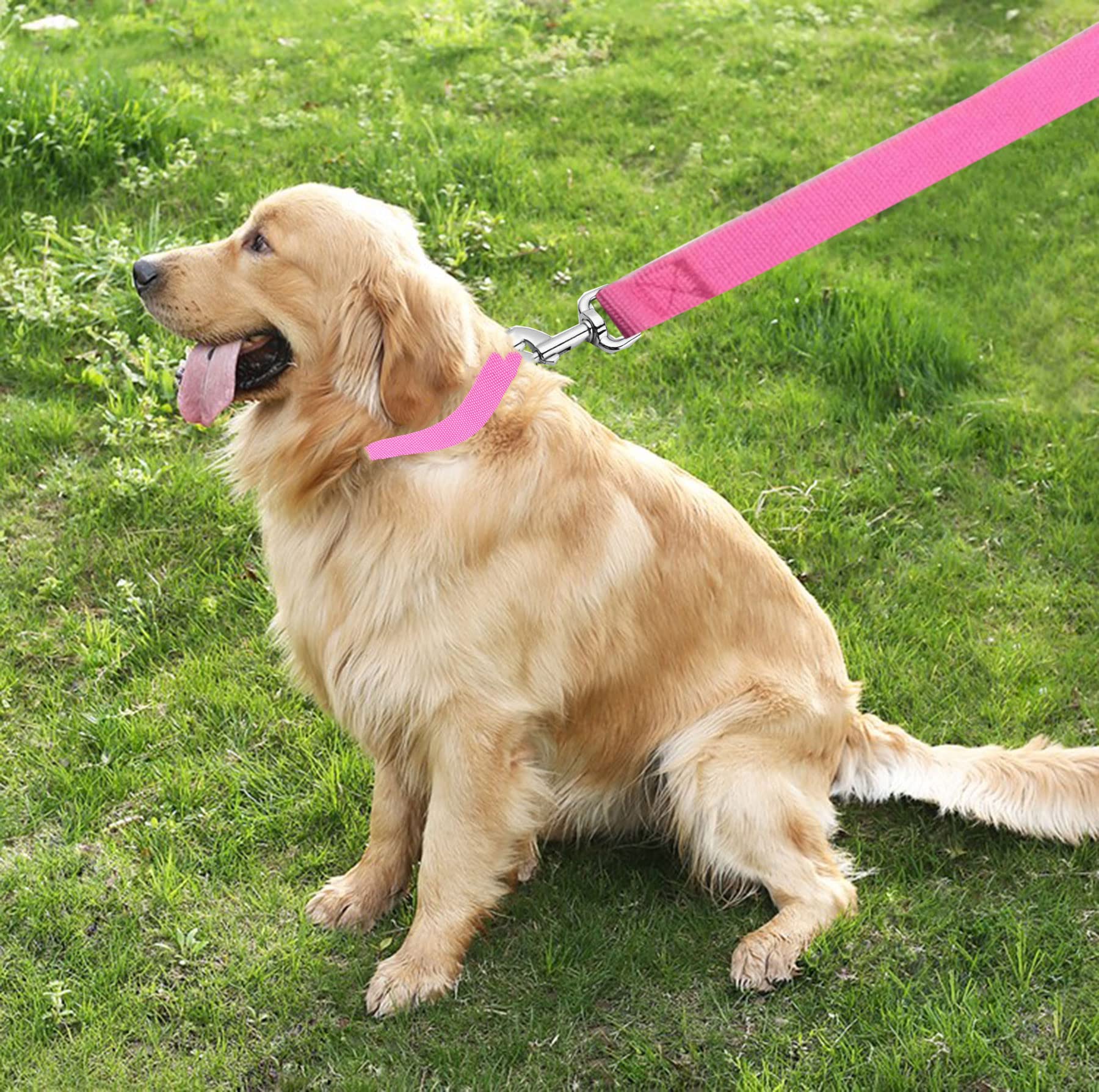 Taian 4Ft/5Ft/6Ft Strong Dog Leash, Nylon Dog Leashes For Small Medium Large Dogs (3/4 In X 5 Ft, Pink)