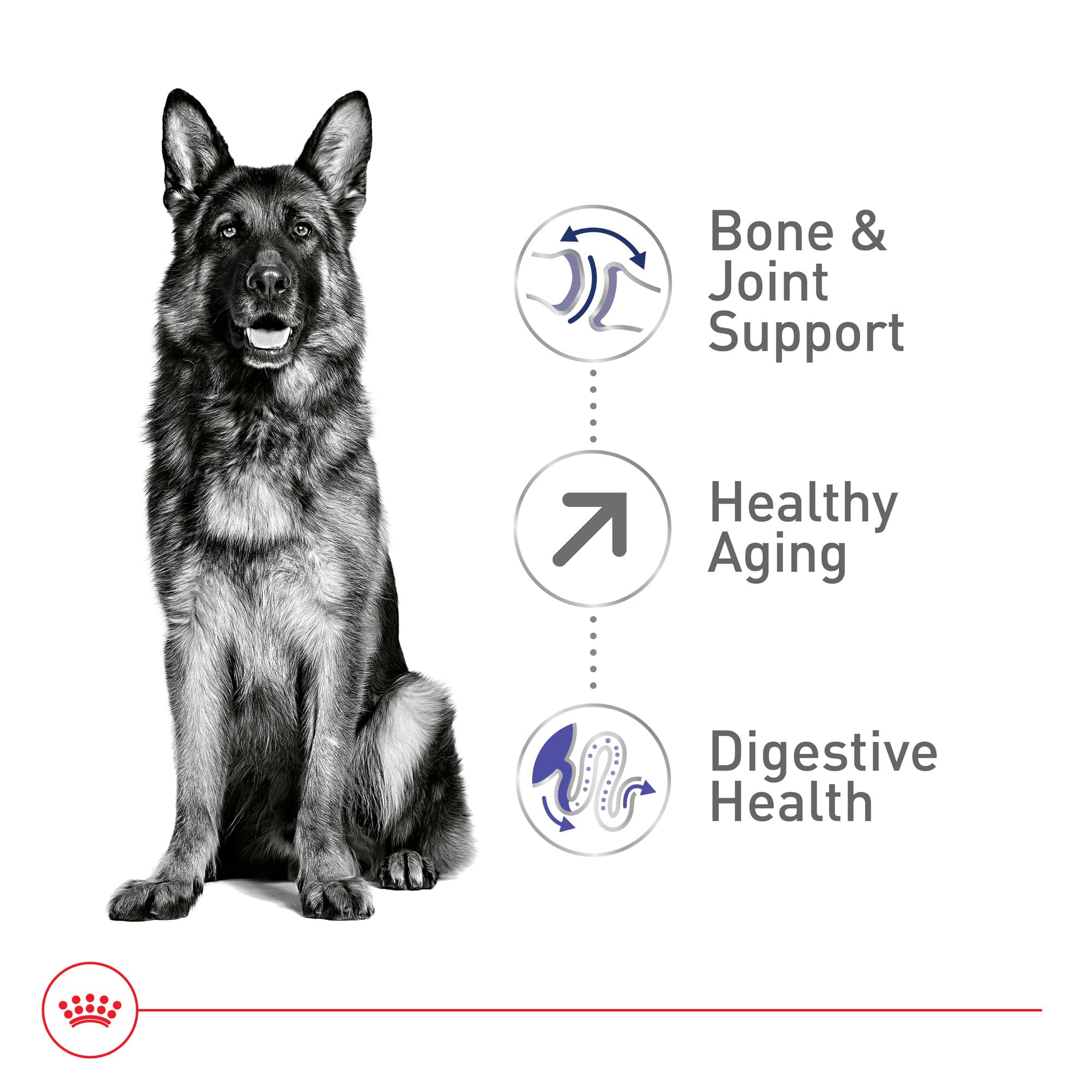 Royal Canin Size Health Nutrition Large Aging 8+ Dry Dog Food, 30 lb bag