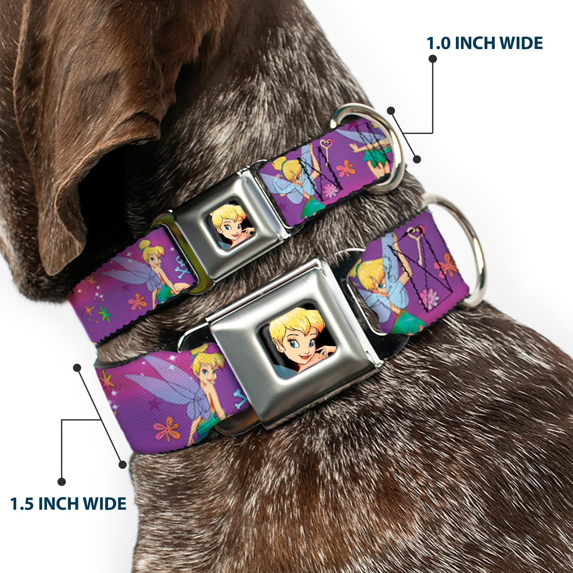 Buckle-Down Dog Collar Seatbelt Buckle Tinker Bell Poses Flowers Stars Skull Purple, Multi Color, 1' Wide - Fits 9-15' Neck -
