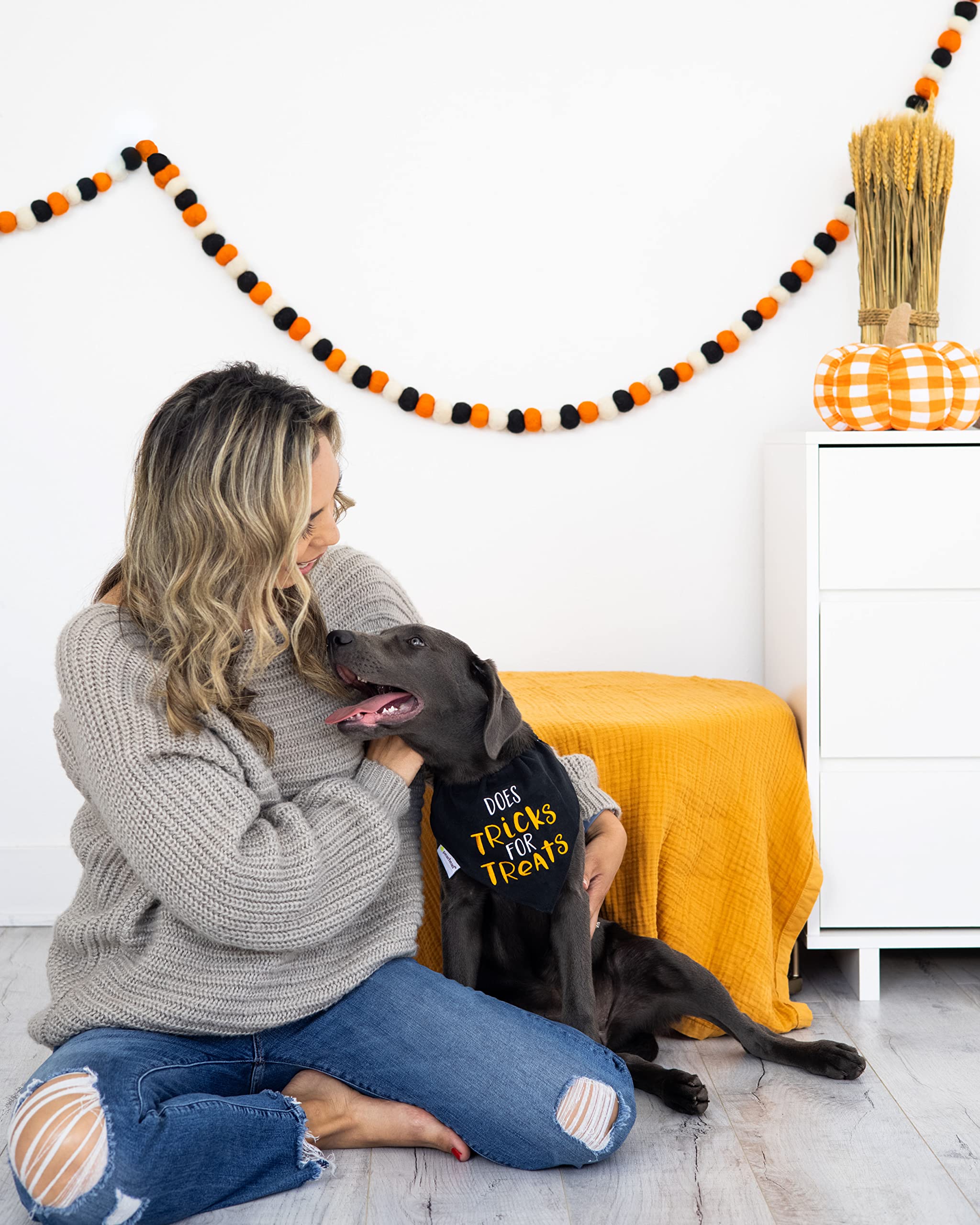 Pearhead Trick Or Treat Bandana, Fall Holiday Dog Apparel, Halloween Dog Costume, Dog Slip On Collar Accessories, Small/Medium, S/M