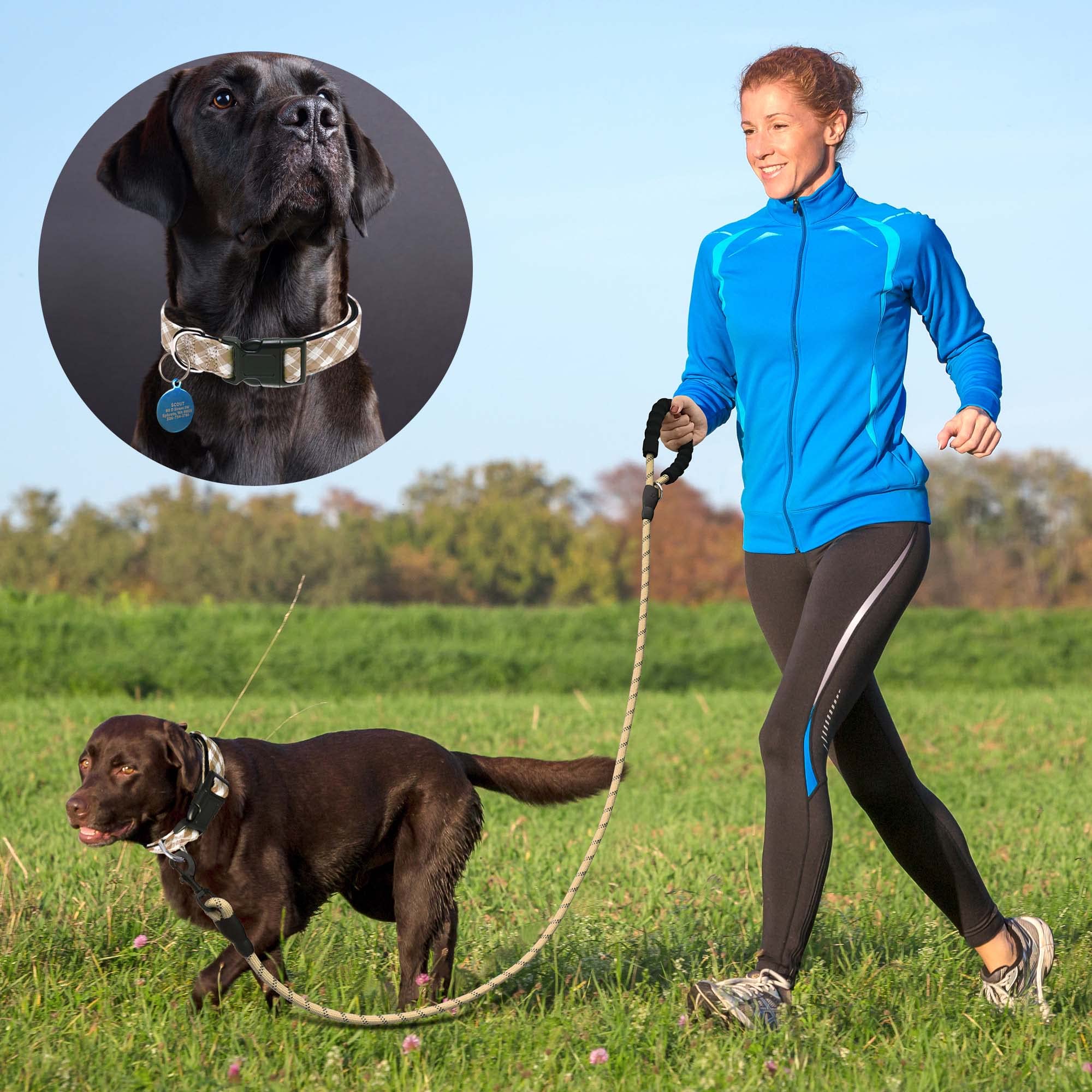 Ladoogo Reflective Dog Collar Padded With Soft Neoprene Breathable Adjustable Nylon Dog Collars For Small Medium Large Dogs (X-Small (Pack Of 1), Vanilla Plaid Collar+Leash)