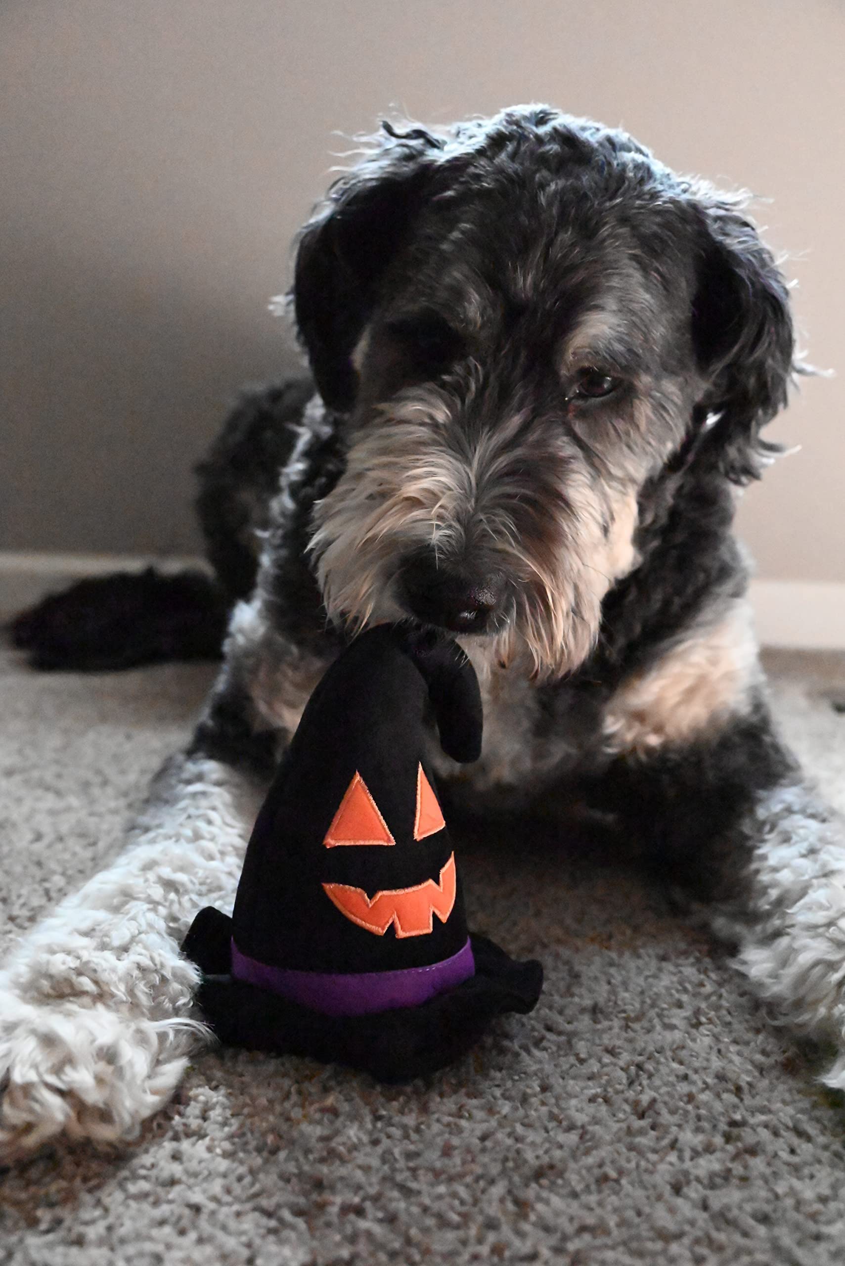 Huxley & Kent For Dogs | Witch Hat | Halloween Dog Toy With Squeaker | Funny Dog Toy Gift | Fun, Durable, And Safe | H&K Squeaky Dog