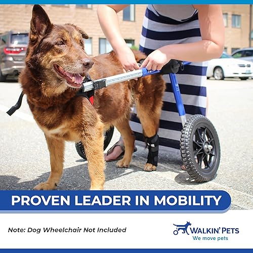Walkin Rear No-Knuckling Training Sock  Helps Dogs Pick up Their Feet When Knuckling Under or Dragging Their Rear Paws