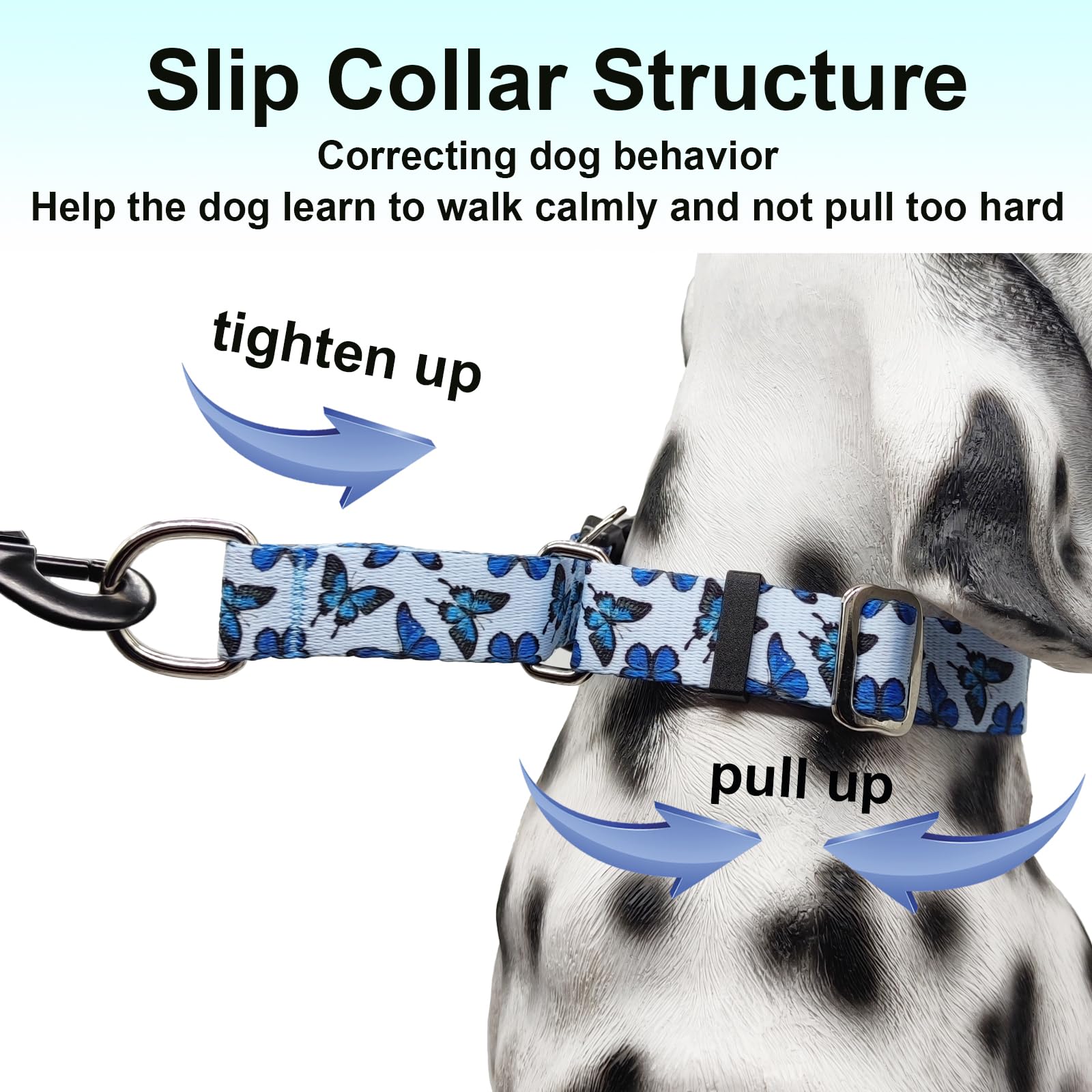 Fidohug Martingale Collar For Dogs With Buckle Cute Girl Adjustable Nylon No Pull Training Dog Collars (Blue Butterfly, Large)