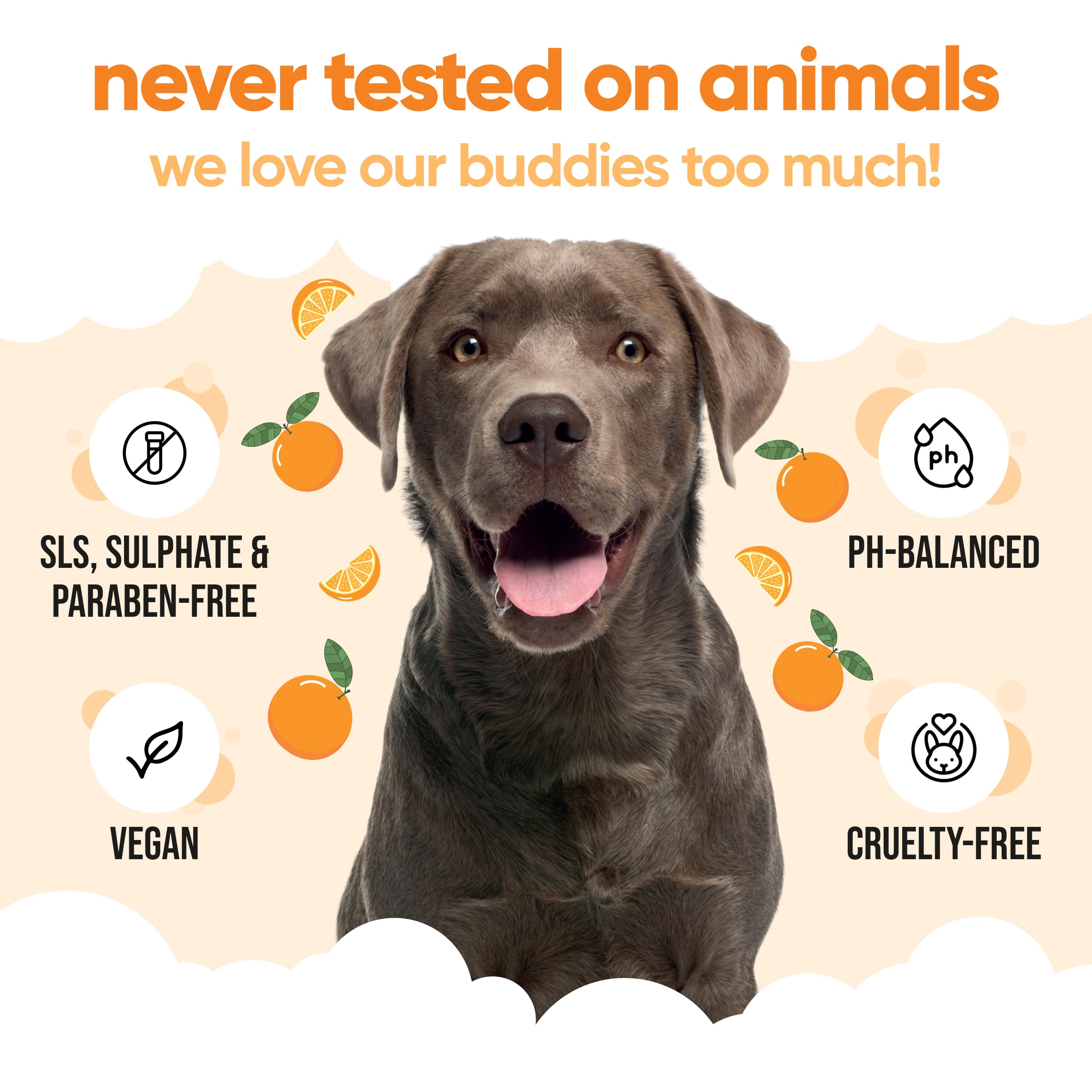 Orange Dog Shampoo By Buddycare | Deep Cleansing Shampoo For Dogs | Orange Scented | With Aloe Vera And Pro Vitamin B5 (16.9Oz)