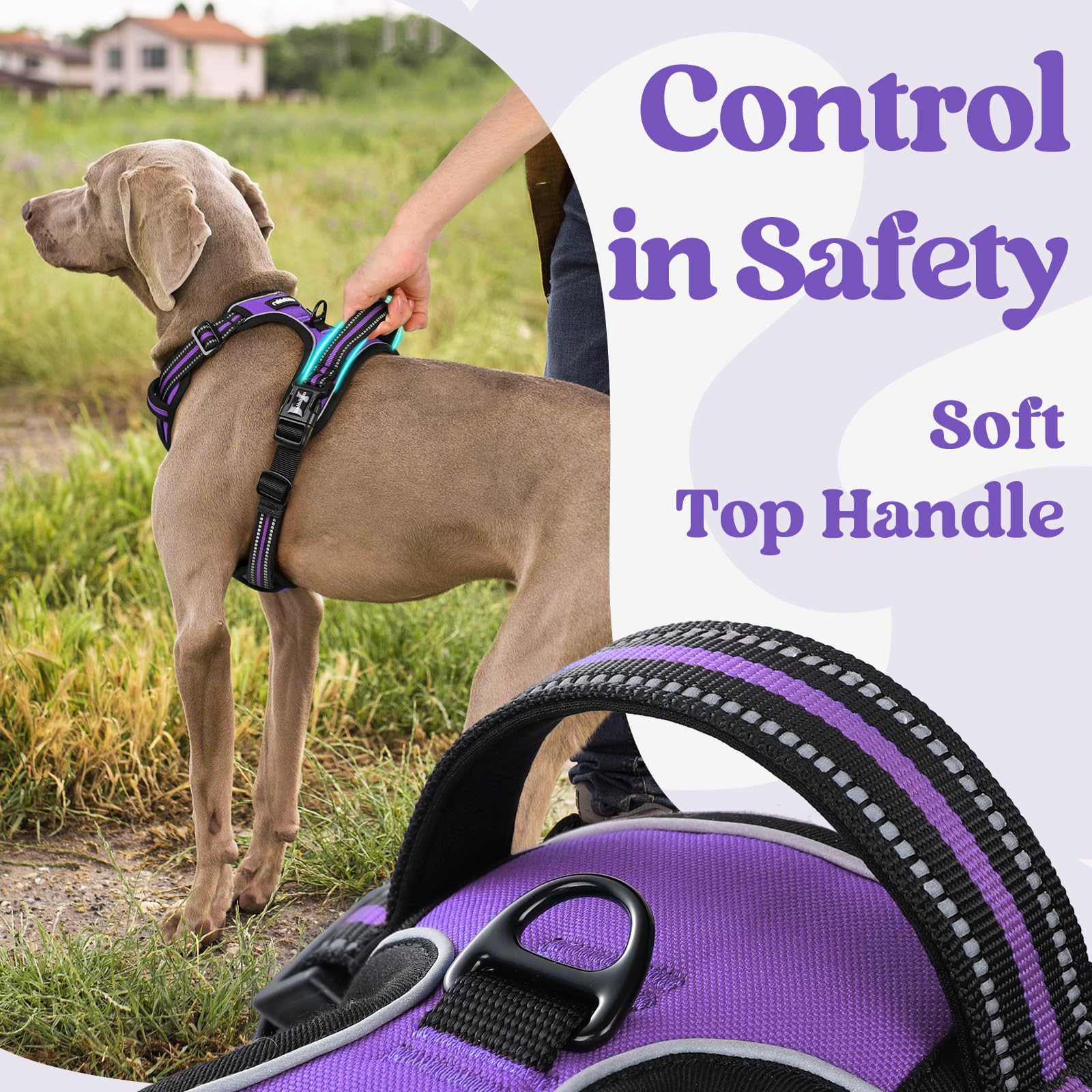 Rabbitgoo Dog Harness Medium Sized, No Pull Pet Harness With 3 Buckles, Adjustable Soft Padded Pooch Vest With Instant Control Handle, Easy Walking Reflective Pet Vest For Medium Dogs, Purple, M