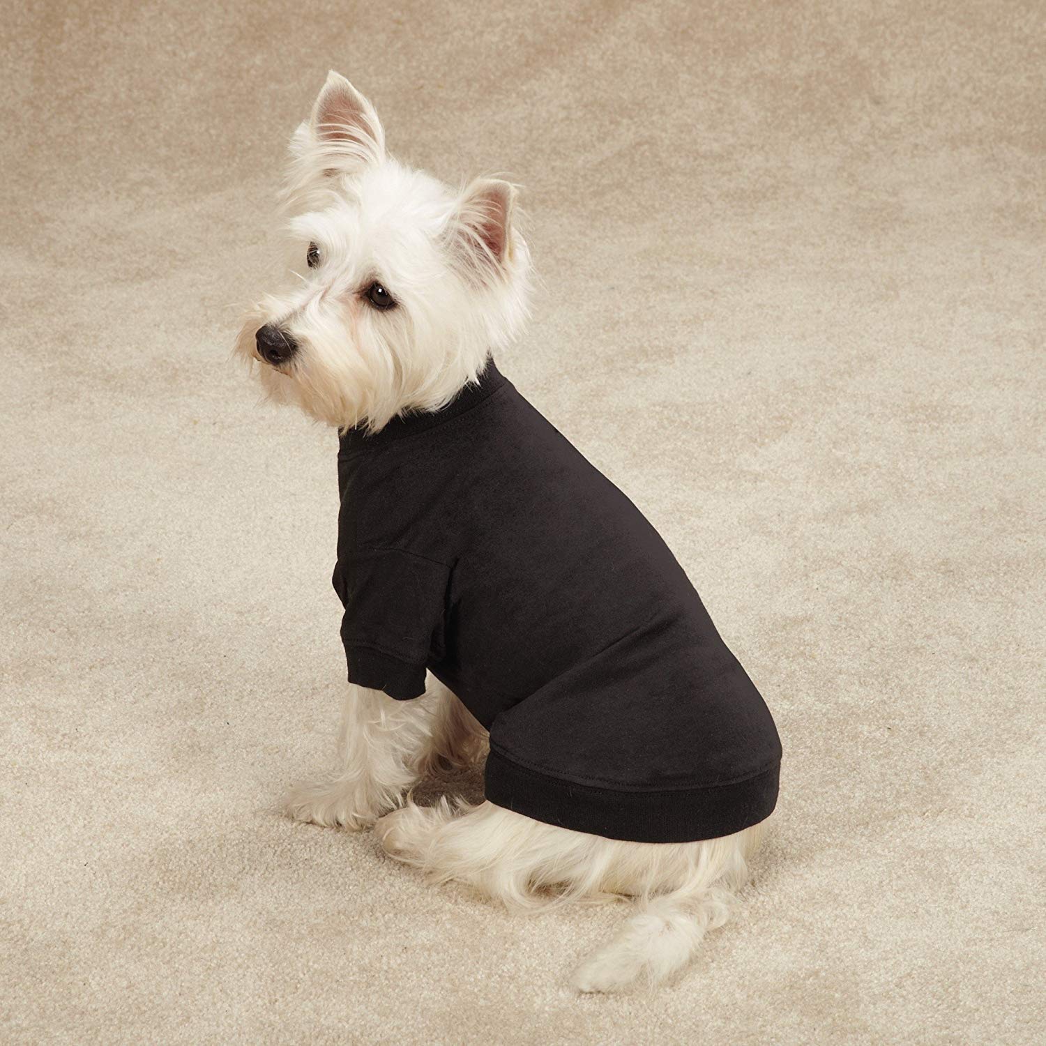 Zack & Zoey Basic Tee Shirt for Dogs, 16 Medium, Black