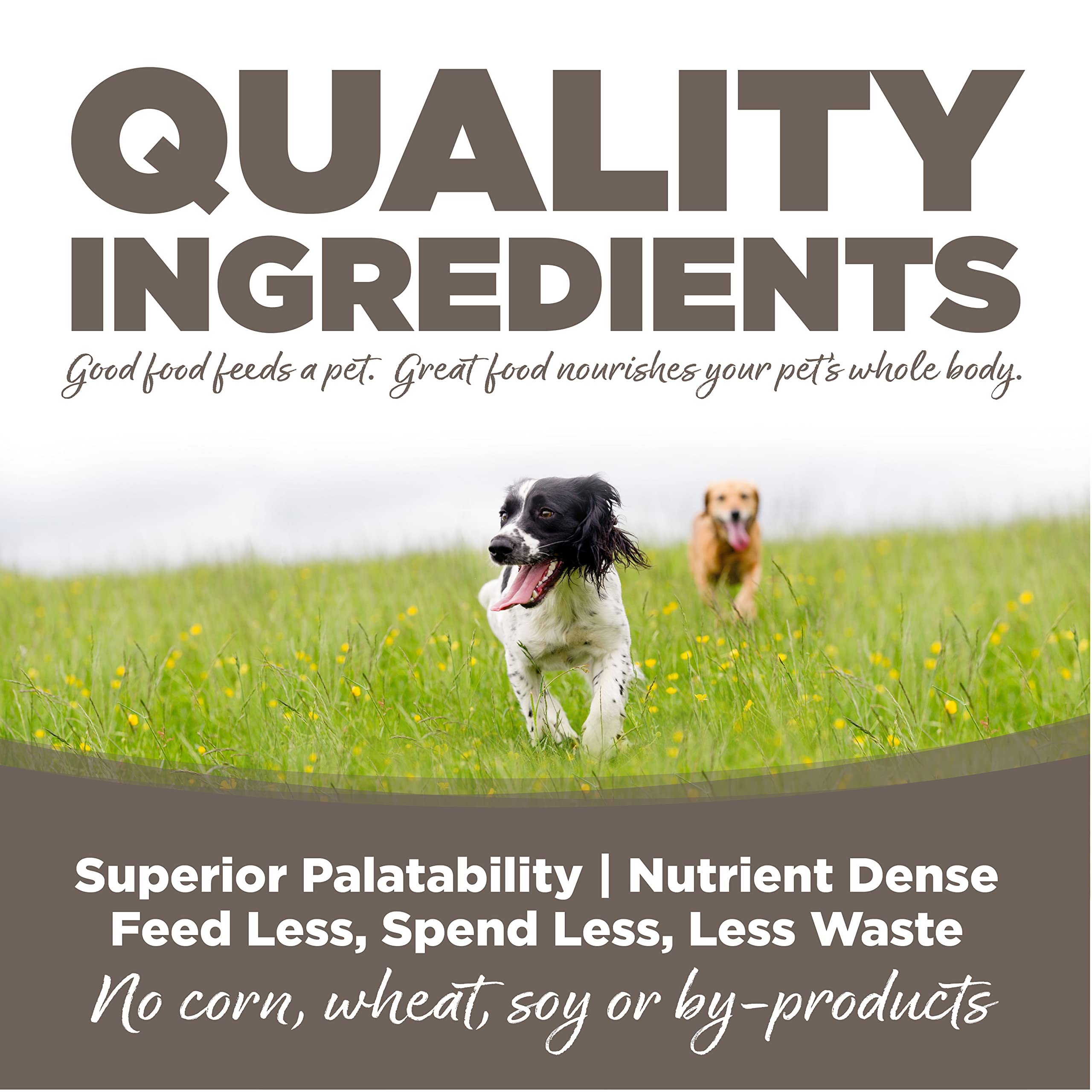 NutriSource Dry Dog Food for Seniors, Chicken and Rice, 26LB