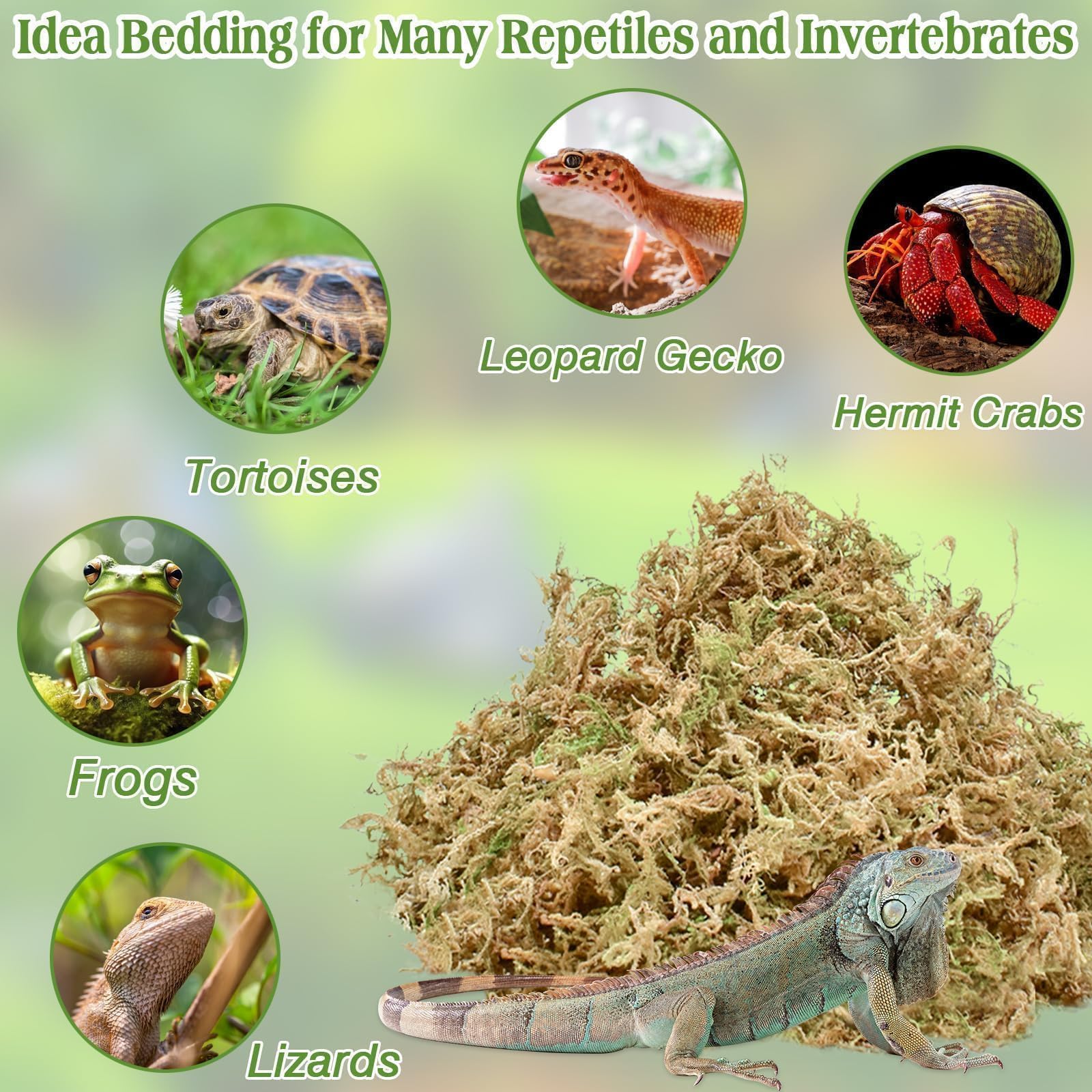 Halatool 6Oz Natural Sphagnum Moss Substrate For Reptiles - Terrarium Bedding With 72H Moisture Retention, Safe For Bearded Drag