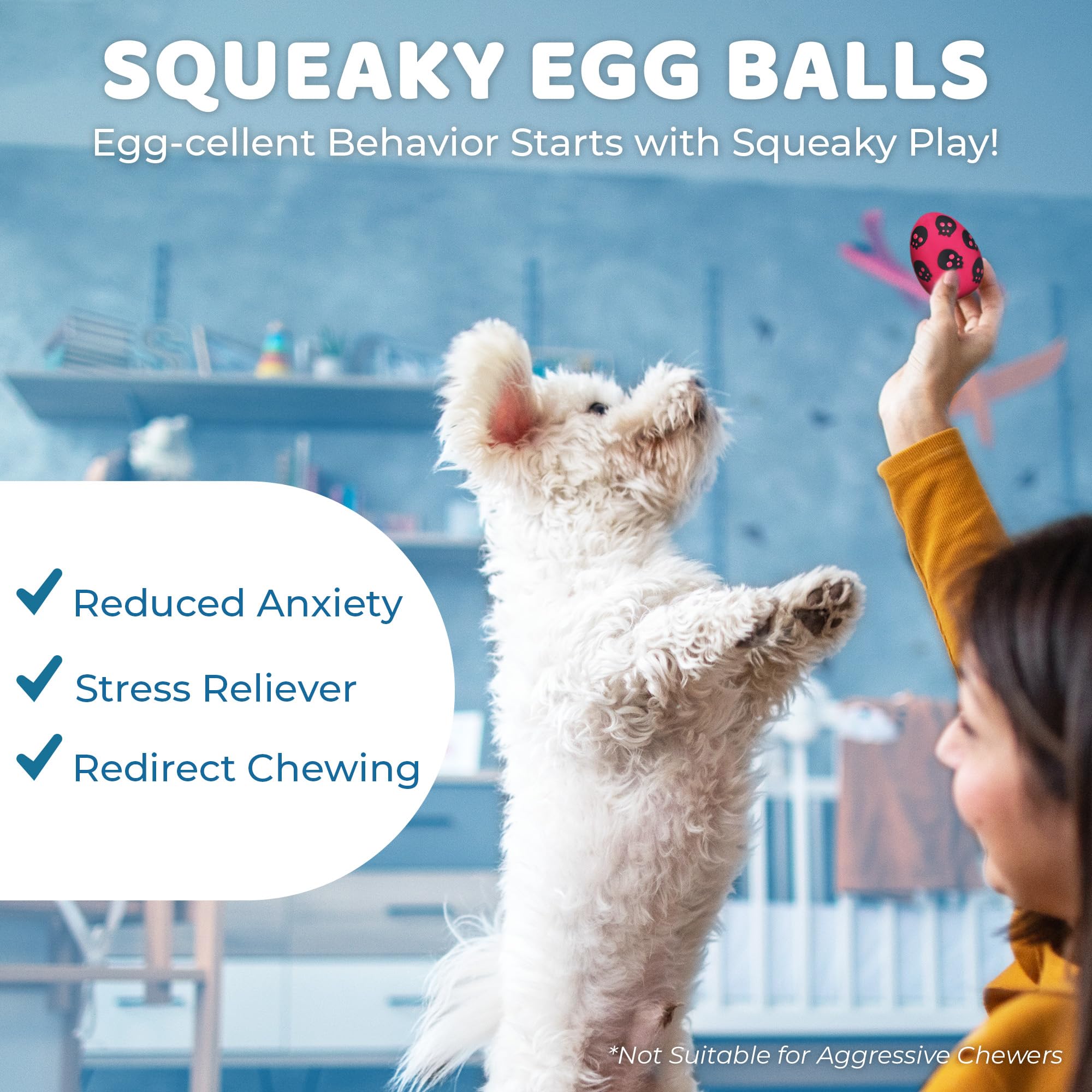 Sungrow Squeak Balls For Dogs, Companion For Puppies And Small Breeds, 3 Assorted Easter Egg Designs, Indoor, Outdoor Interactiv