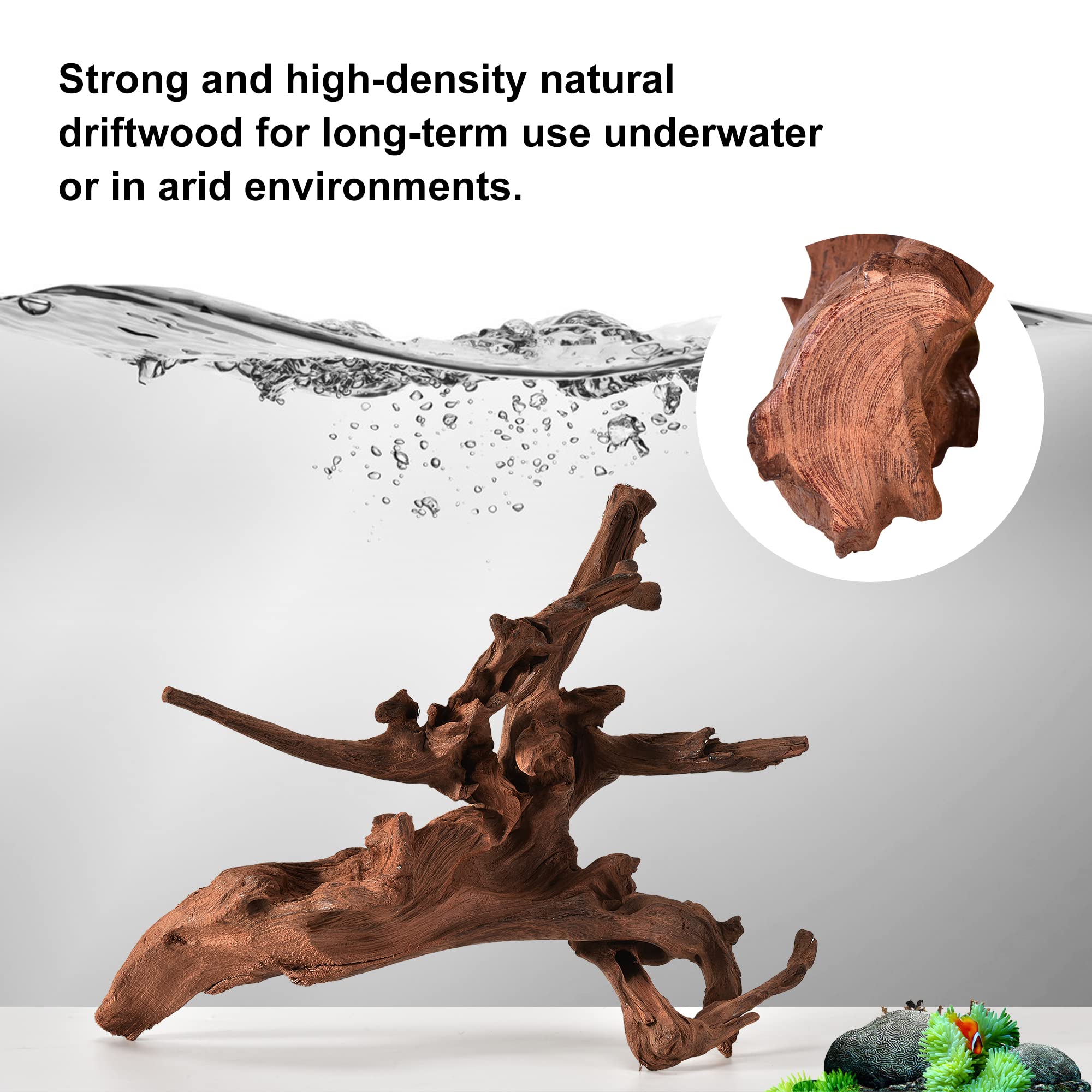 majoywoo Natural Driftwood for Aquariums & Reptiles, 13-17" Long, Dark Brown, Over 1.3 lbs, Mopani Wood