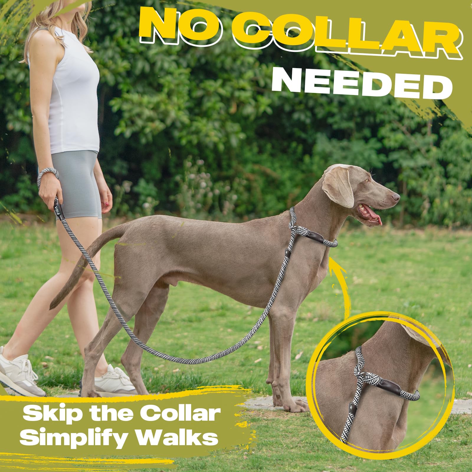 Fida Durable Slip Lead Dog Leash Bulk Pack Of 5, Heavy Duty 1/2' X 6 Ft Comfortable Strong Rope Slip Leash For Large, Medium & Small Dogs No Pulling Pet Training Leash With Highly Reflective (Grey)