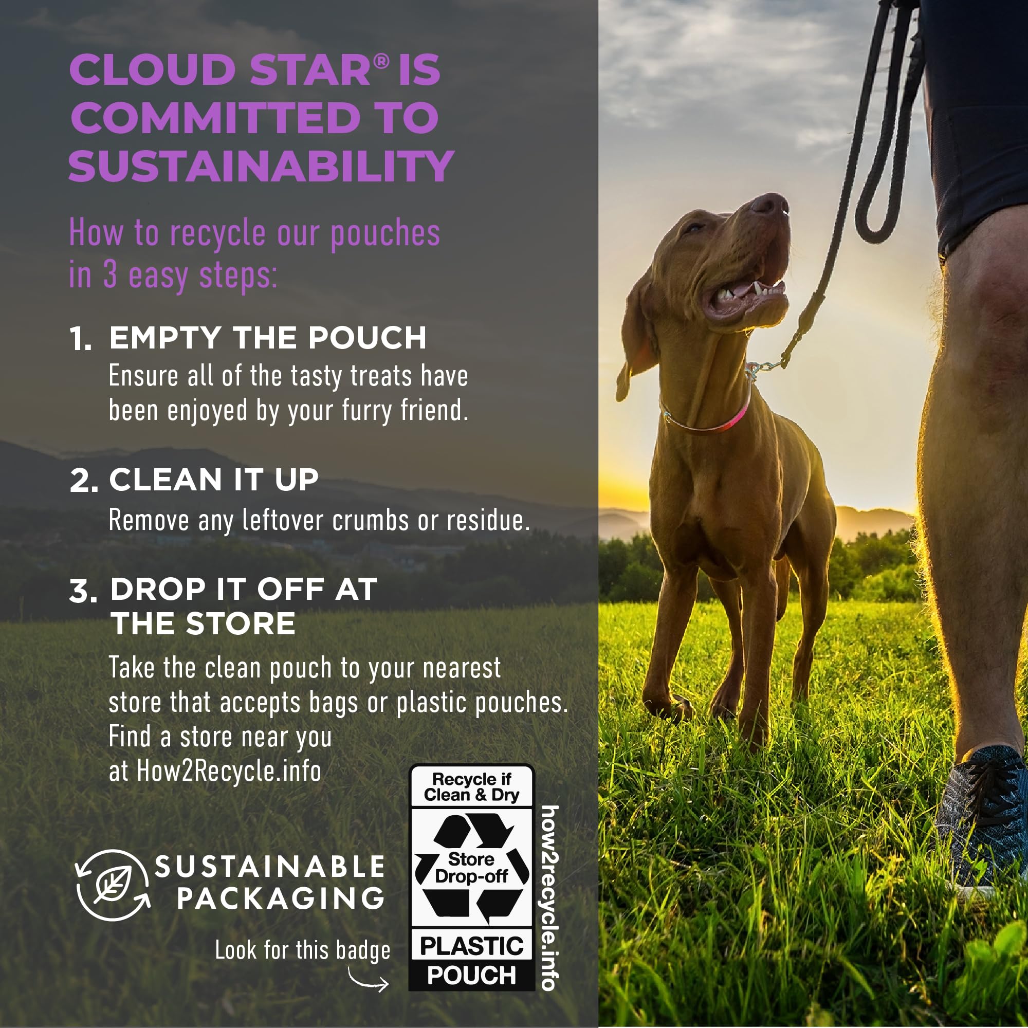 Cloud Star Tricky Trainers Liver Flavor Soft & Chewy Dog Treats 14 oz - Low Calorie Training Aid, 360 Treats