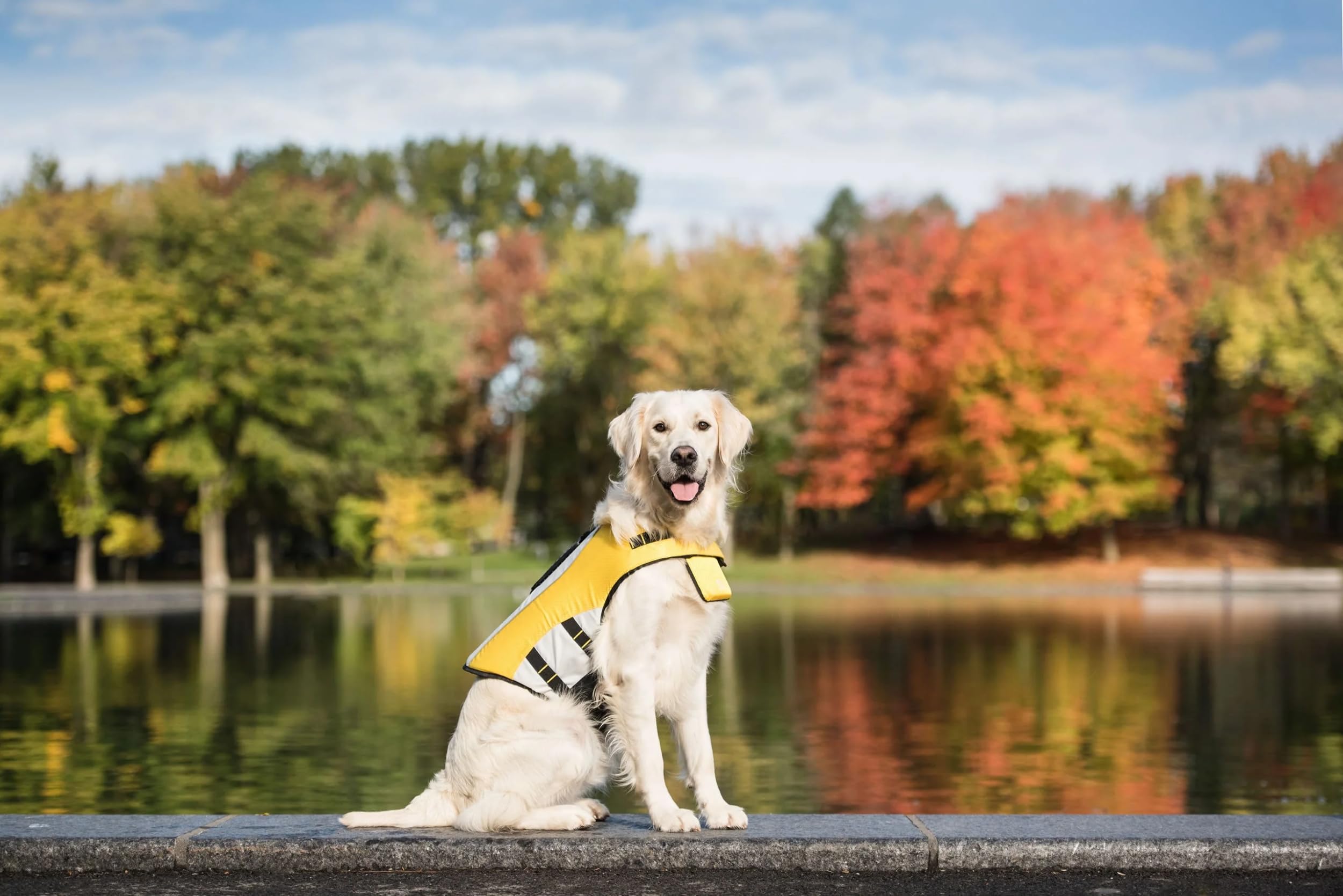 Gf Pet 79G68726 Life Jacket, Xs, 130 G (X-Large)