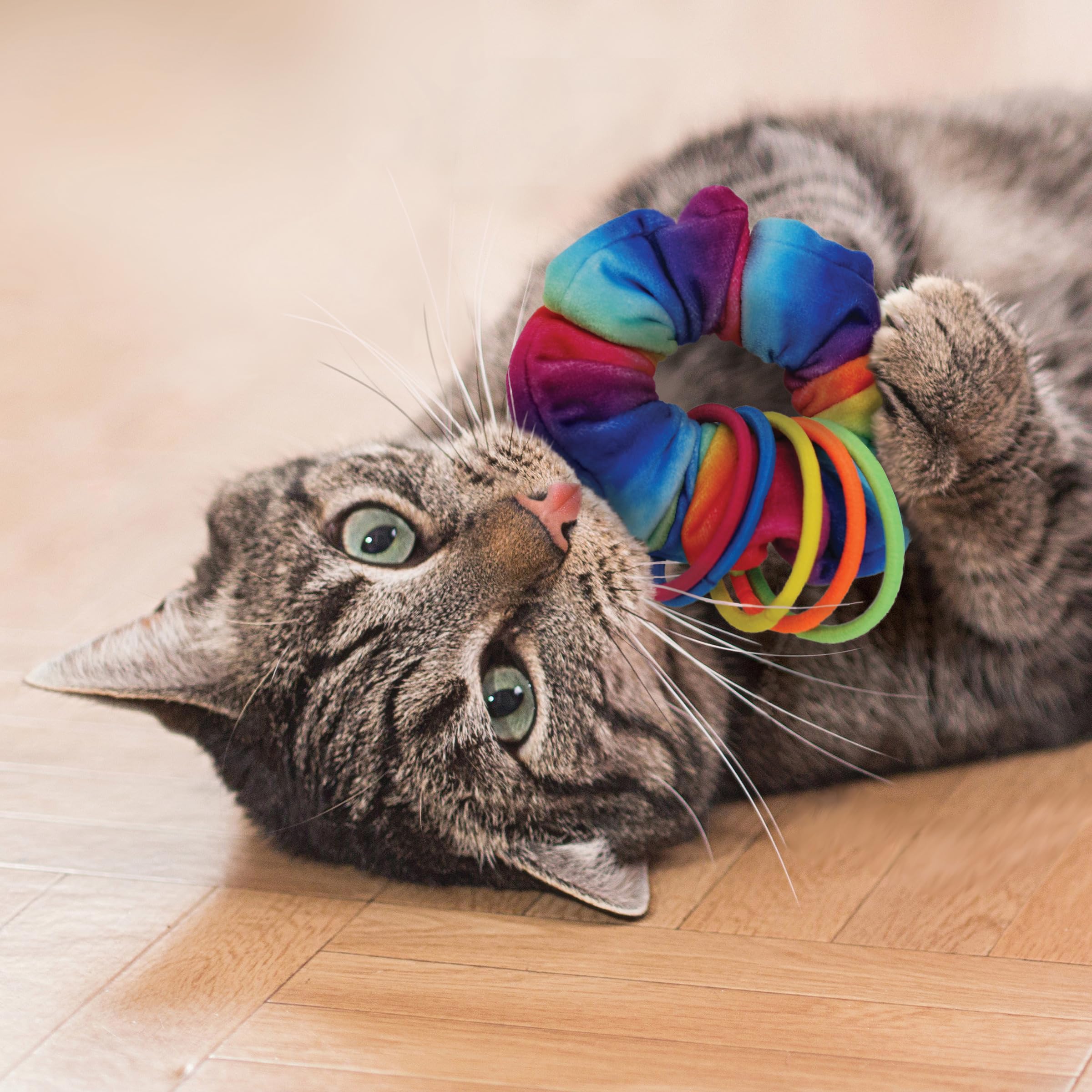 Kong Company 38745916: Active Scrunchie Catnip Toy