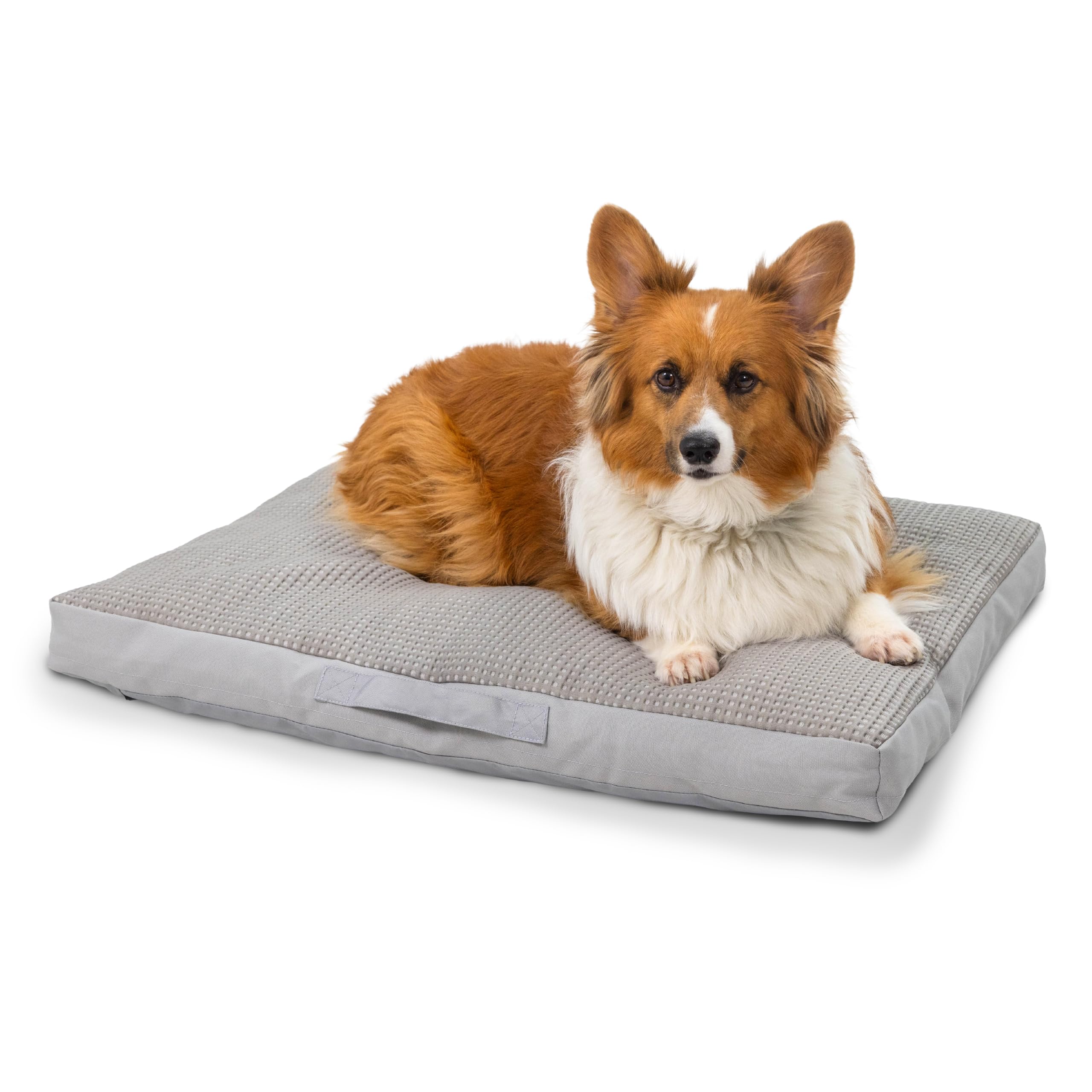 Best Friends by Sheri Cool & Cozy Dog Cooling Bed, Orthopedic Comfort with Shredded Foam & Plush Polyfill, Water Resistant Base 