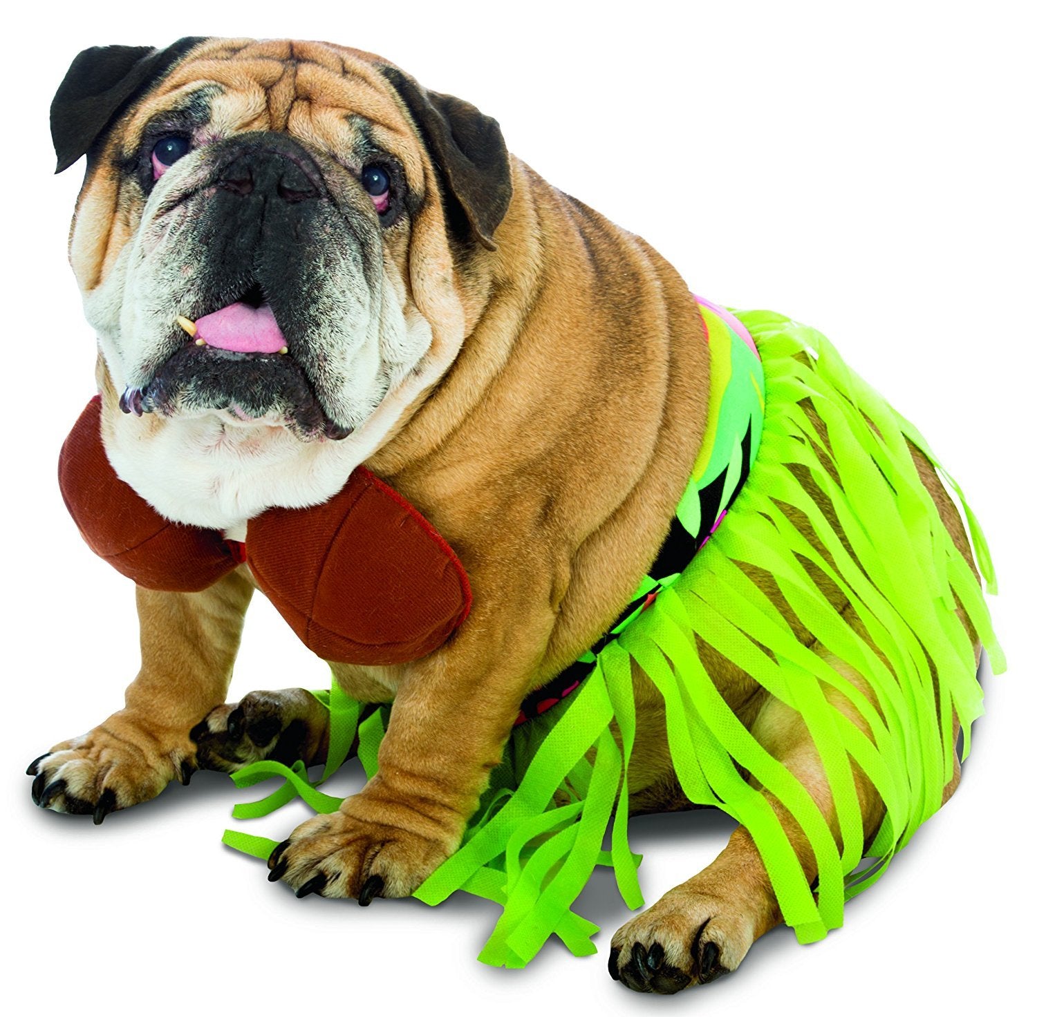 Rasta Imposta Hula Dog Costume, Small