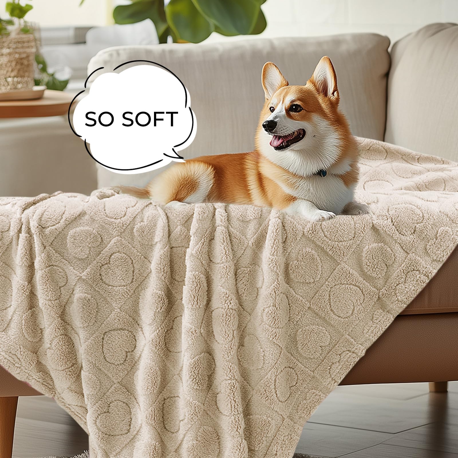 Luciphia Small Dog Blanket Washable Pet Bed Cover Soft Fluffy Puppy Couch Protector With Premium Fleece Cozy Calming Cat Blanket