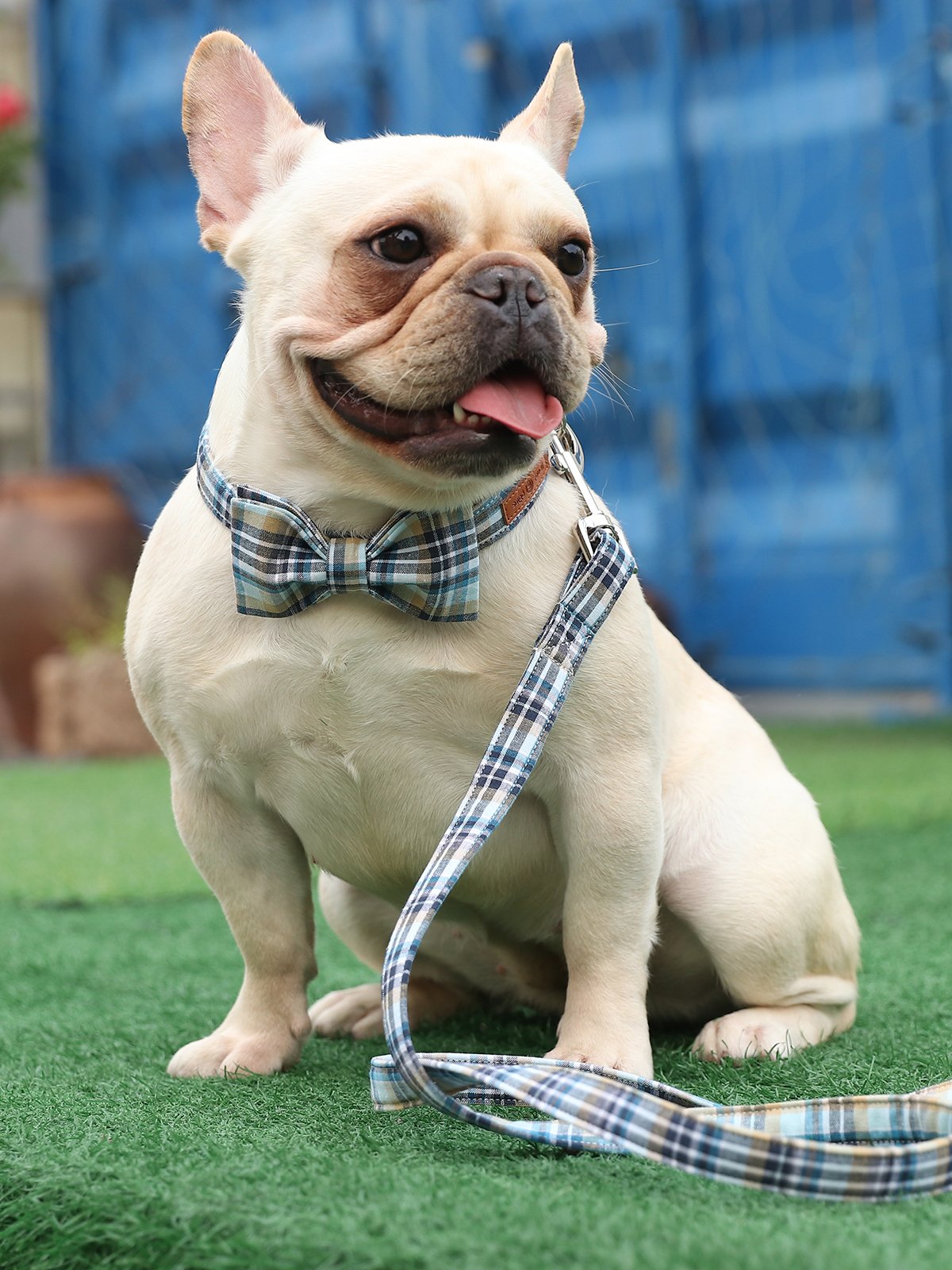 Lionet Paws Dog Leash Durable Handmade Grid Dog Leash Dog Walking Leash With Soft Handle For Cats And Small Medium Large Dogs