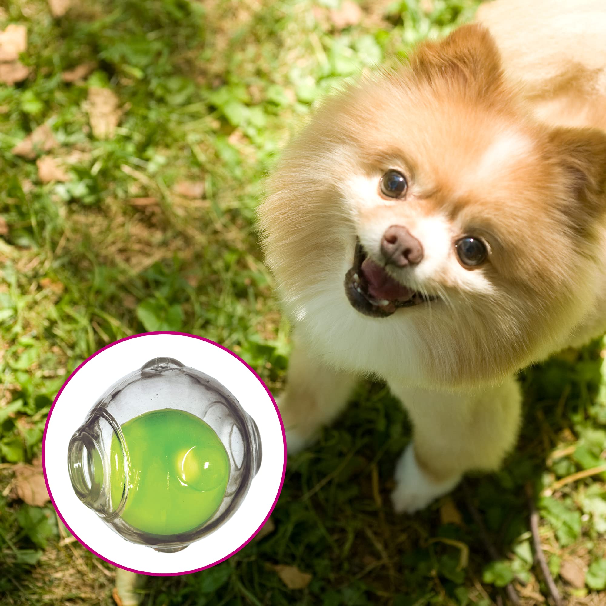 Chase 'N Chomp Dog Amazing Squeaker Ball Toy For Pets, Clear, 3.5 Inch, All Breed Sizes