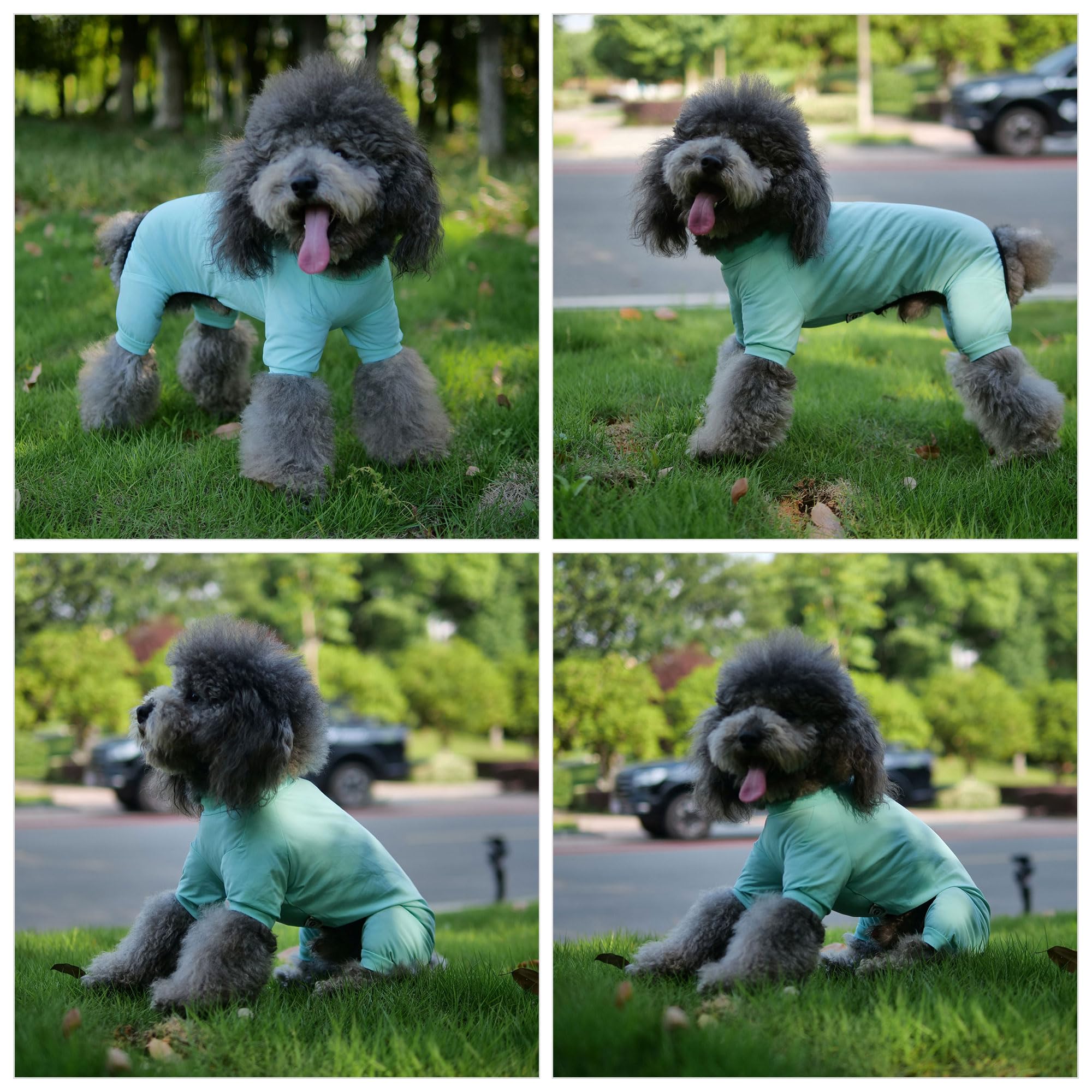 Lovelonglong Dog Jumpsuit With Uv Protection And Quick-Dry Fabric For Spring Summer Pet Pajamas Turquoise M