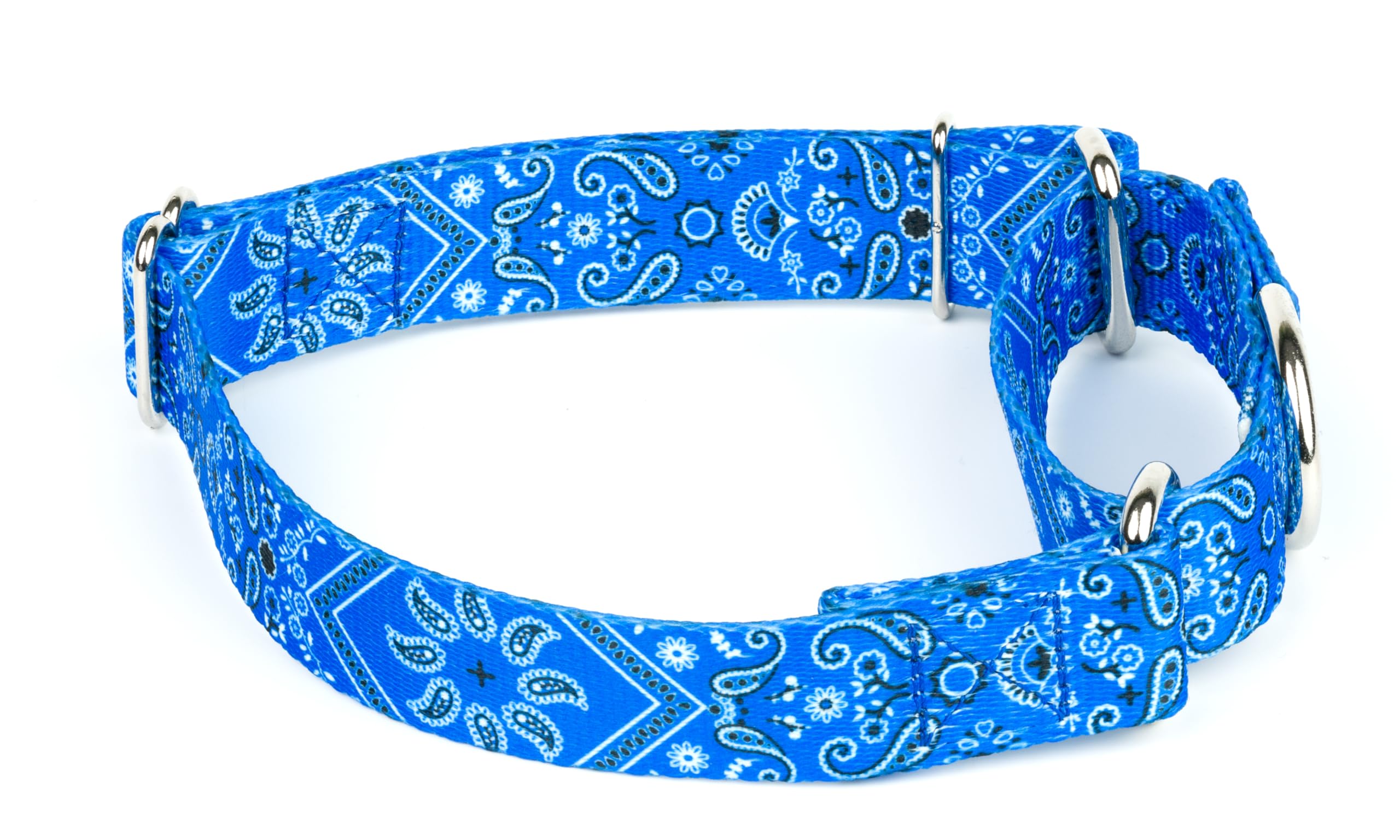 Country Brook Petz - Blue Bandana Martingale Dog Collar - Country And Western Collection Featuring Rugged Designs (1 Inch, Large