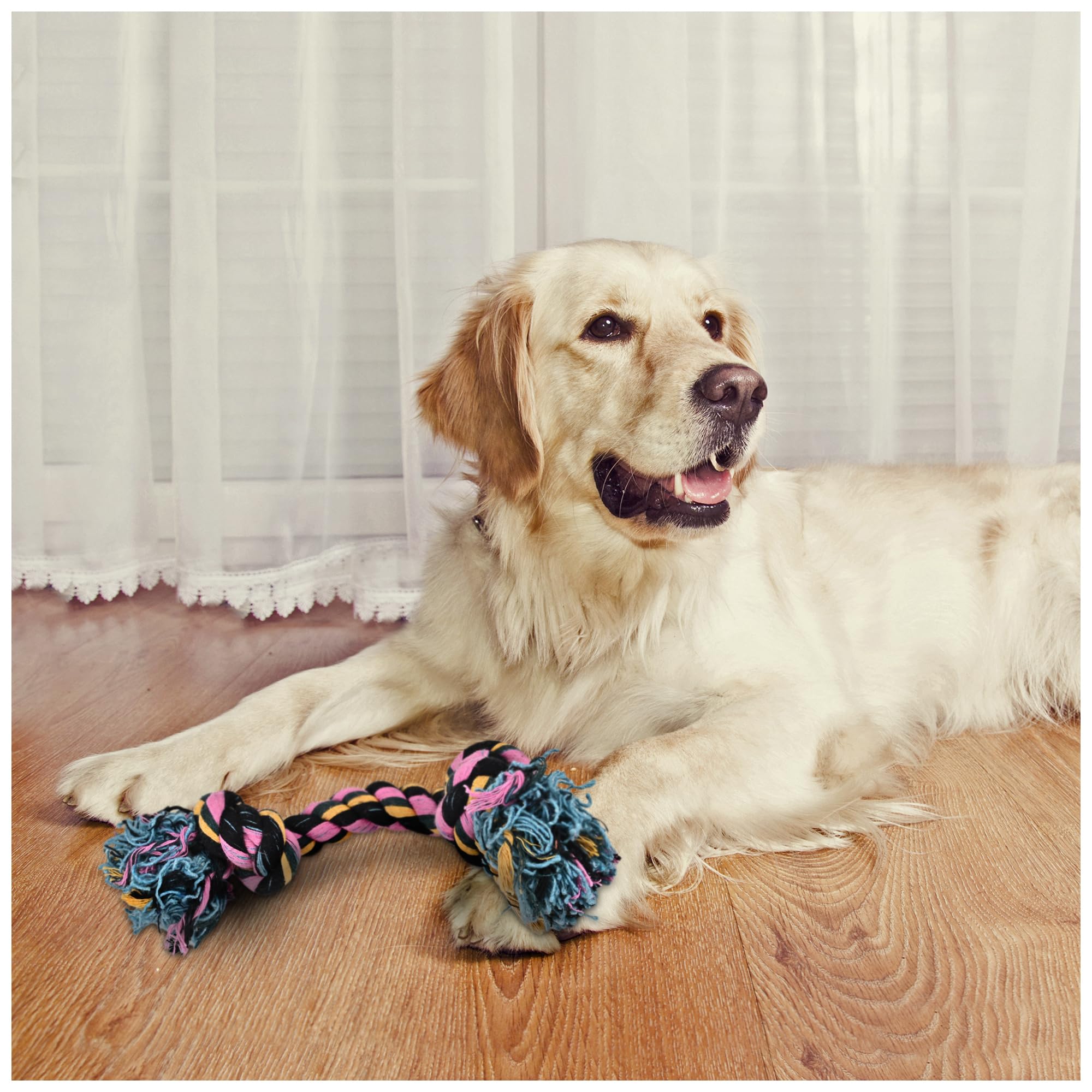 Polka Natural Cotton Tug Of War Rope Dog Toys  Durable & Safe Chew Toys For Dogs & Puppy  NonToxic, Washable & Strong  Perfe