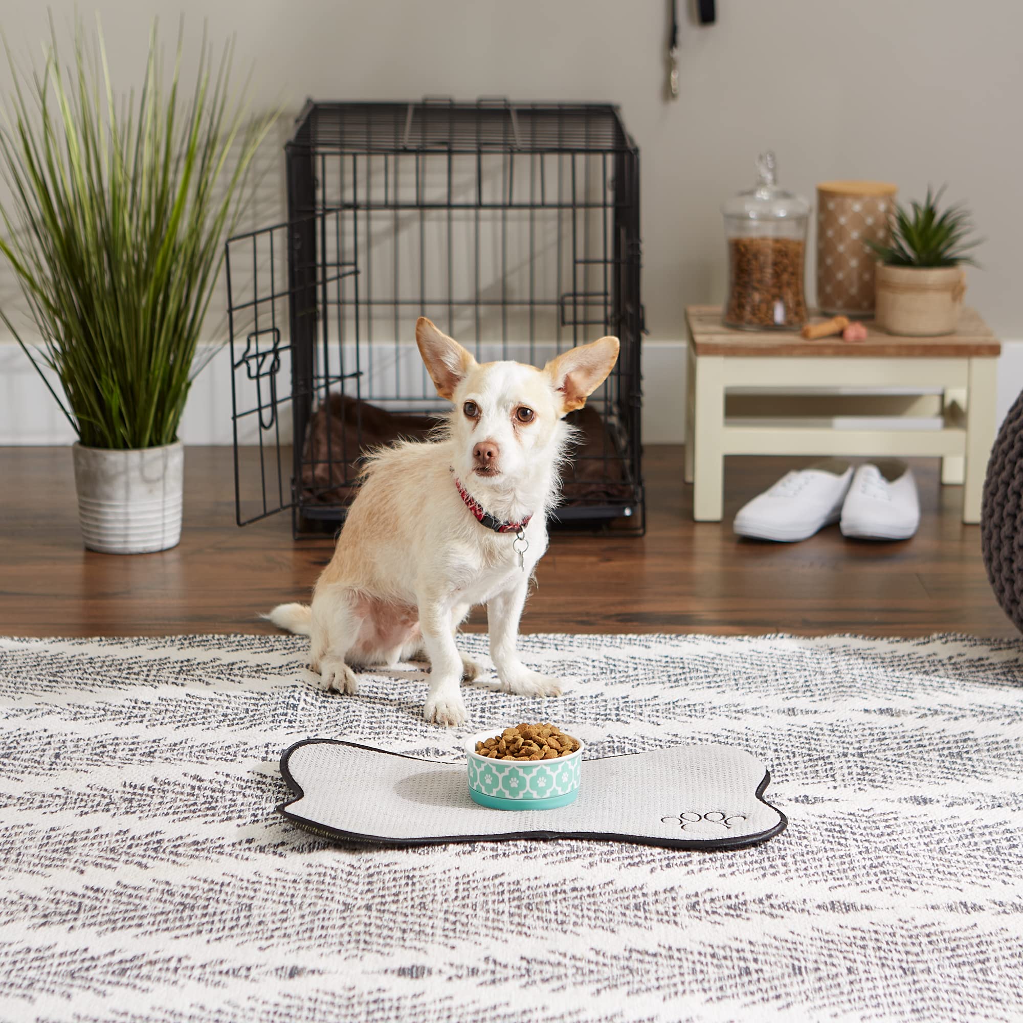 Bone Dry Lattice Collection Pet Bowl & Canister, Single Dish, Small 4.25x2, Aqua