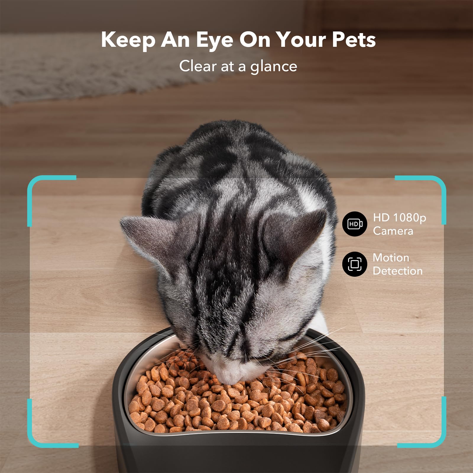 PETLIBRO Automatic Cat Feeder with Camera, 1080P HD Video with Night Vision, 5G WiFi Pet Feeder with 2-Way Audio, Low Food & Blo