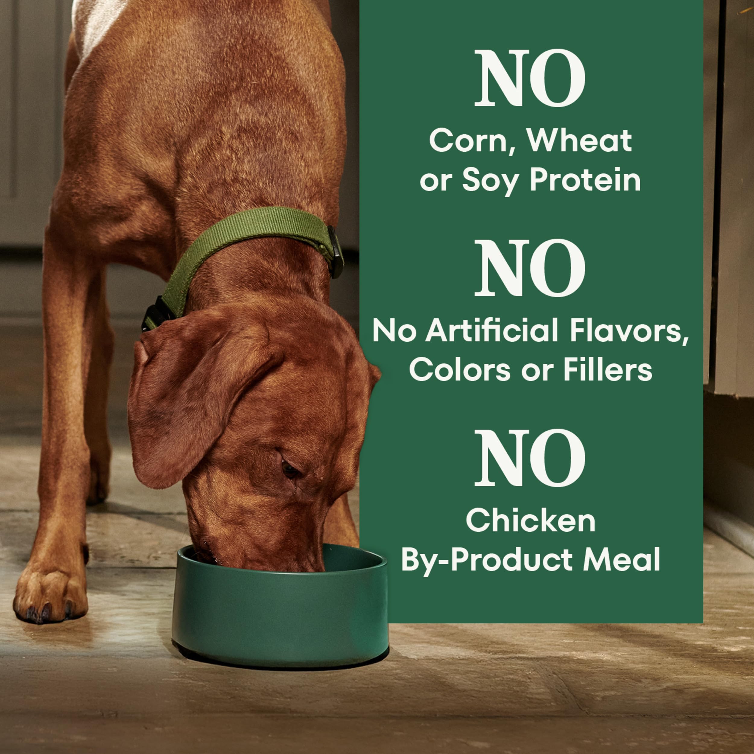 Nutro Natural Choice Adult Large Breed Dog Food Dry, Salmon & Brown Rice Recipe, 28 lb. Bag