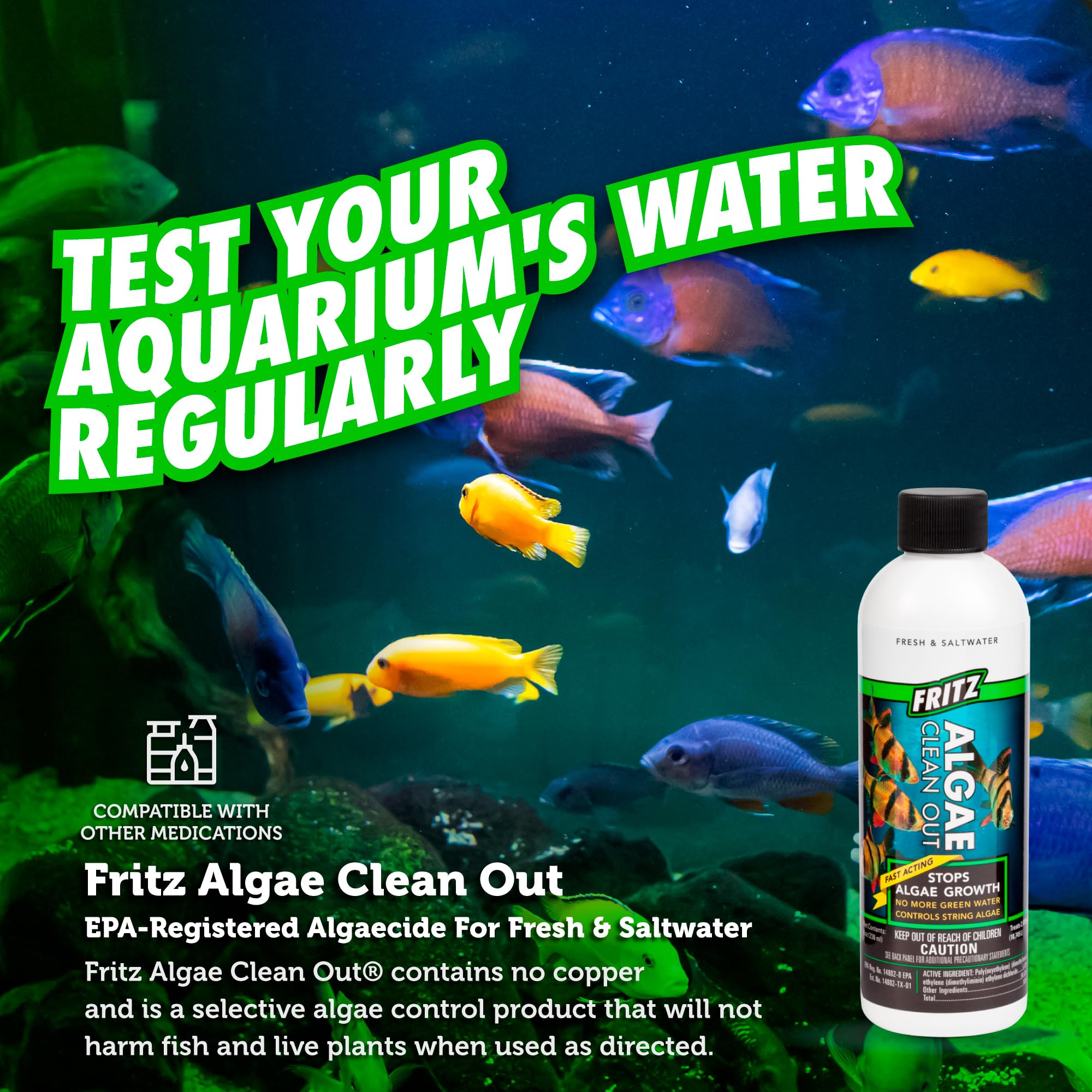 Fritz Aquatics AFA48008 Algae Clean Out for Aquarium, 8-Ounce, Model: 805000