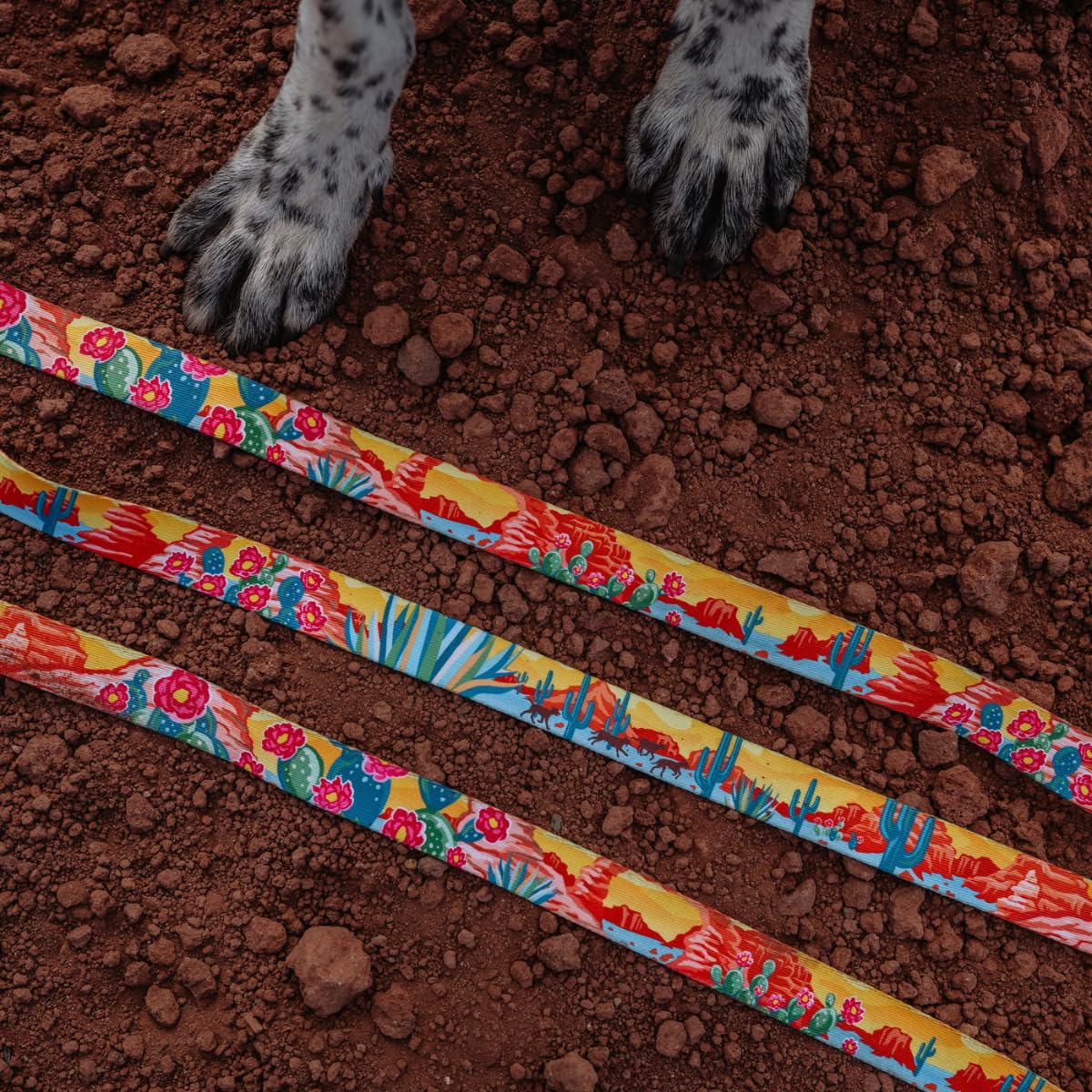 Wolfgang Heavy Duty Dog Leash, Pull-Tested To Over 800 Lbs For Walking & Training, Packleader Print, Dual-Handle Large