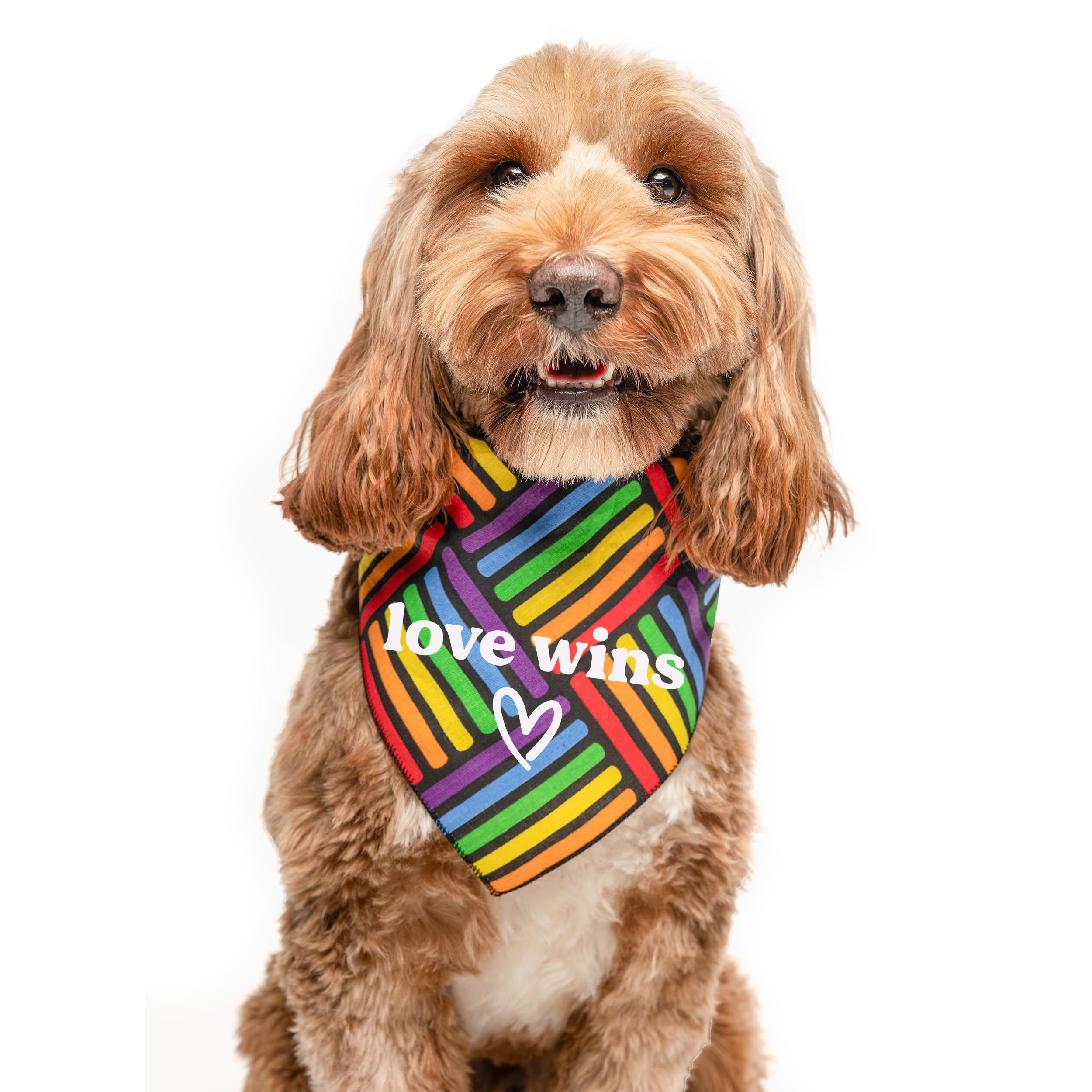 Love Wins Dog Bandana | 100% Cotton Adjustable Triangle | Made In Usa | Pride Day | Lgbtq+ | Rainbow | Parade | One Size |Rainbo