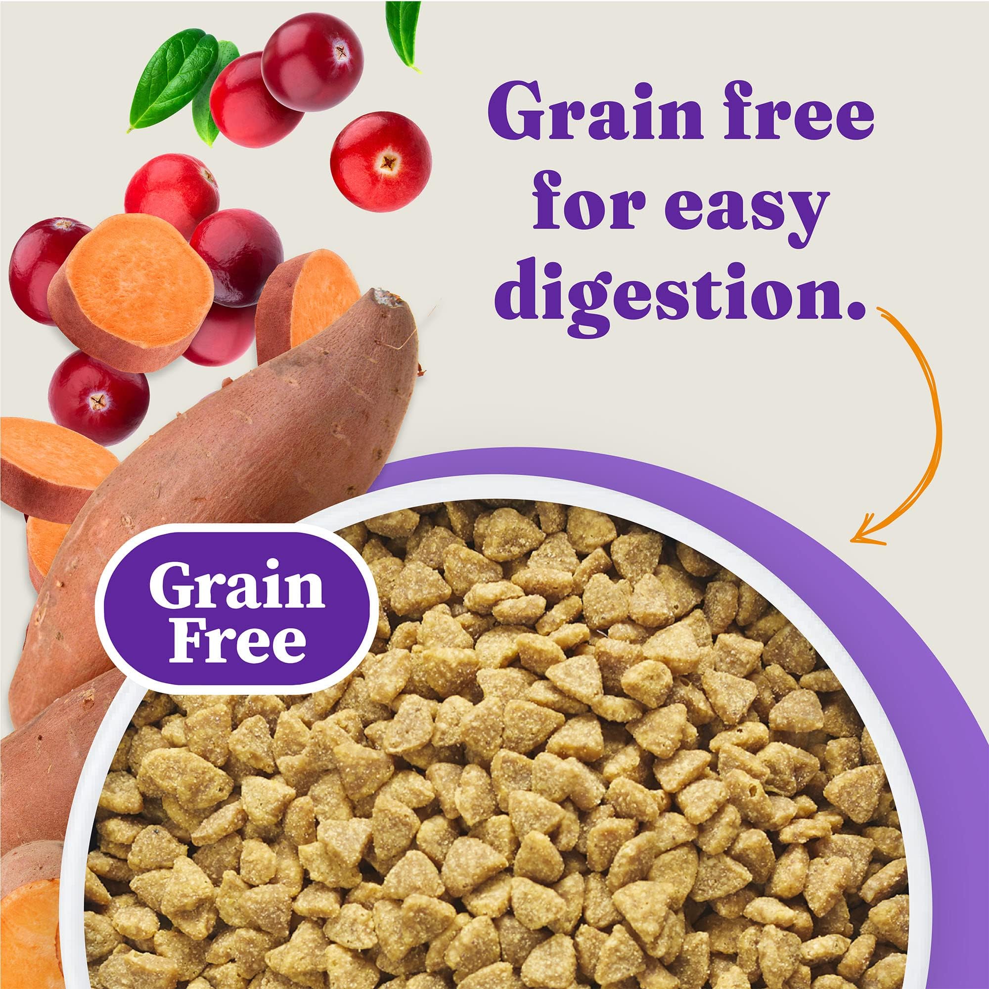 Halo Holistic Indoor Cat Food Dry, Grain Free Cage-free Chicken Recipe for healthy weight support, Complete Digestive Health, Dr