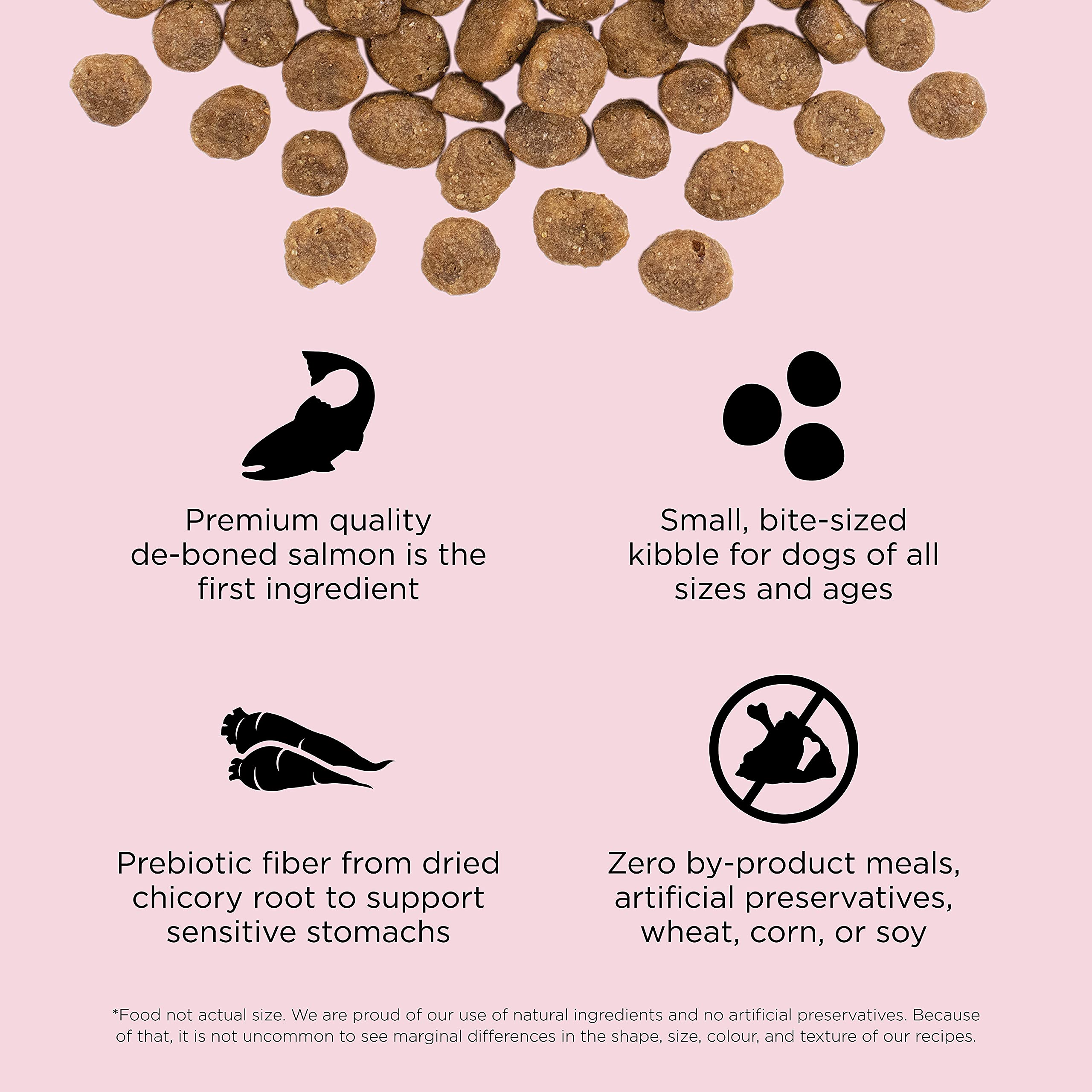 Go! Solutions Sensitivities Limited Ingredient Small Bites Salmon Dry Dog Food, 6 lb Bag - Grain-Free, Chicken-Free for Sensitive Stomachs